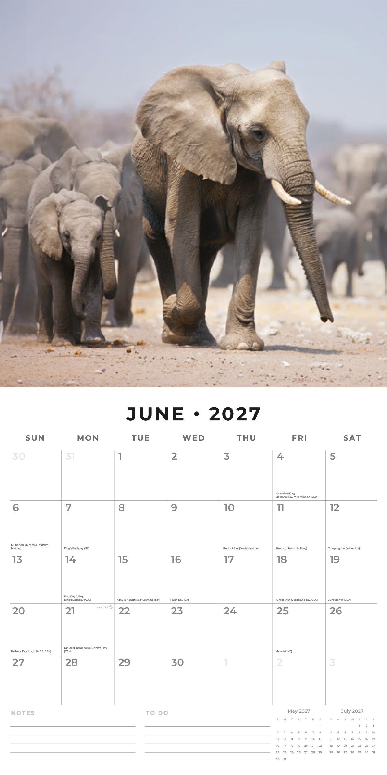 Red Robin 2027 Elephants Monthly Wall Calendar | 12" x 12"