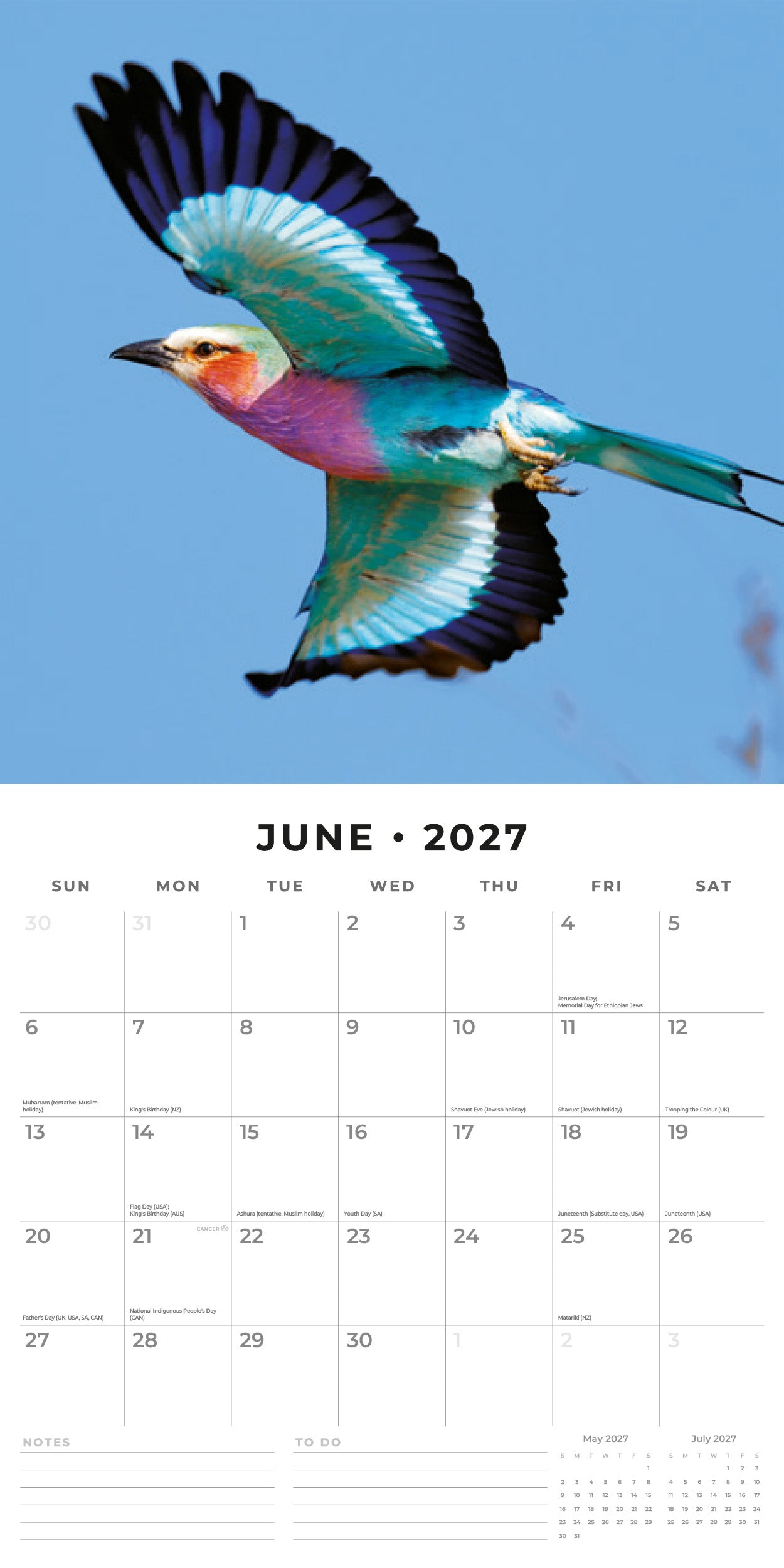 Red Robin 2027 Exotic Birds Monthly Wall Calendar | 12" x 12"