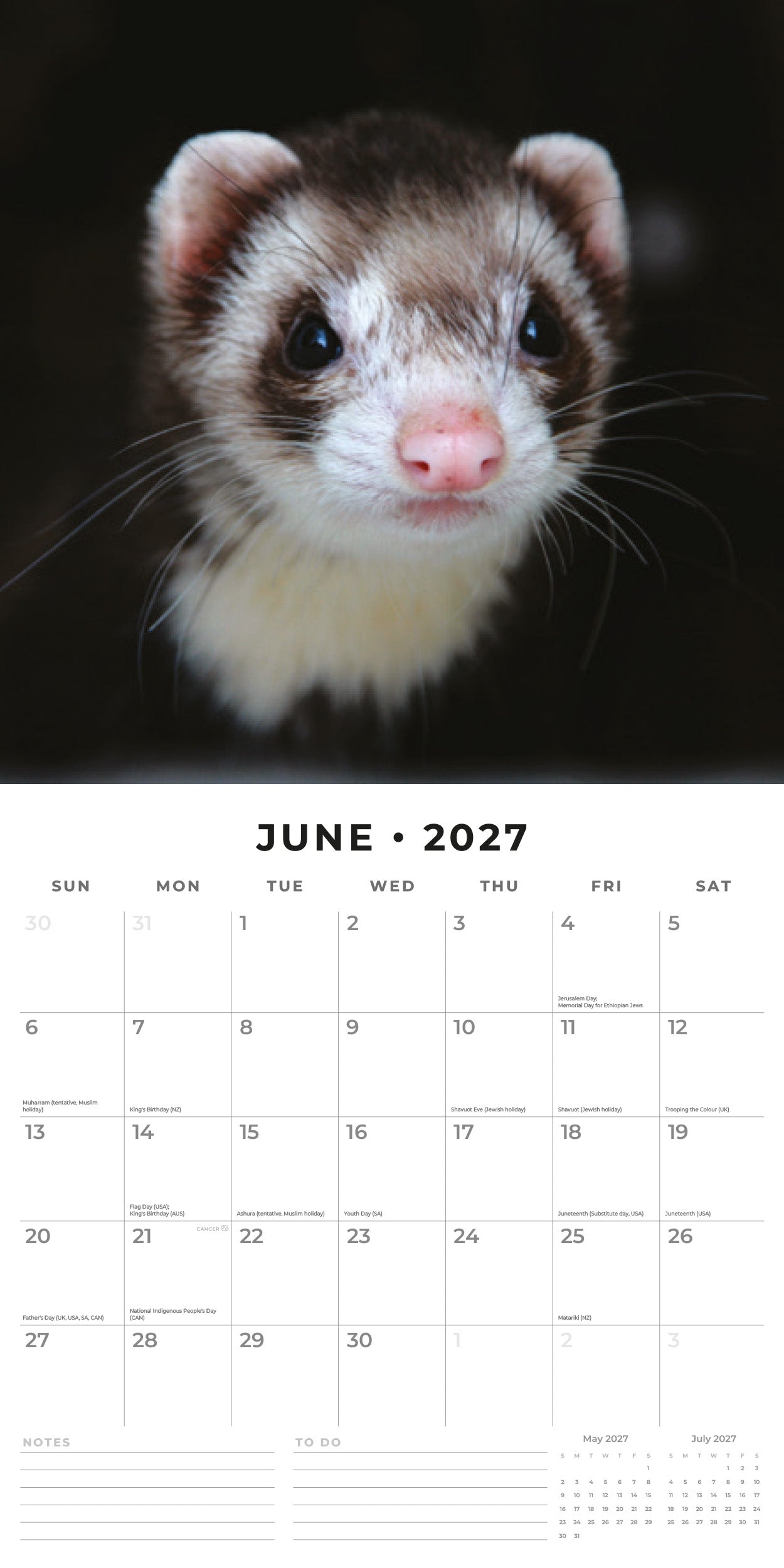 Red Robin 2027 Ferrets Monthly Wall Calendar | 12" x 12"
