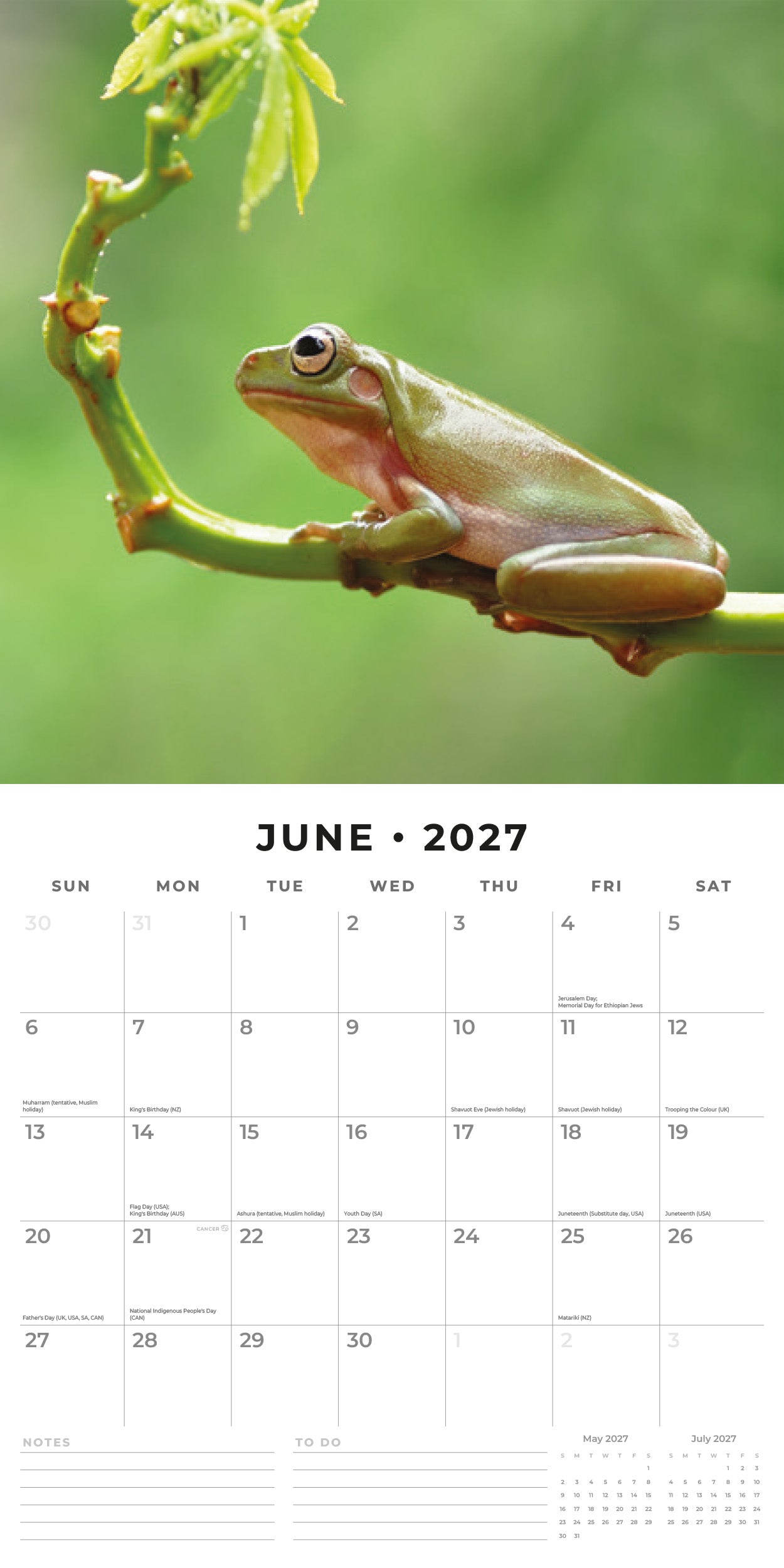 Red Robin 2027 Frogs Monthly Wall Calendar | 12" x 12"