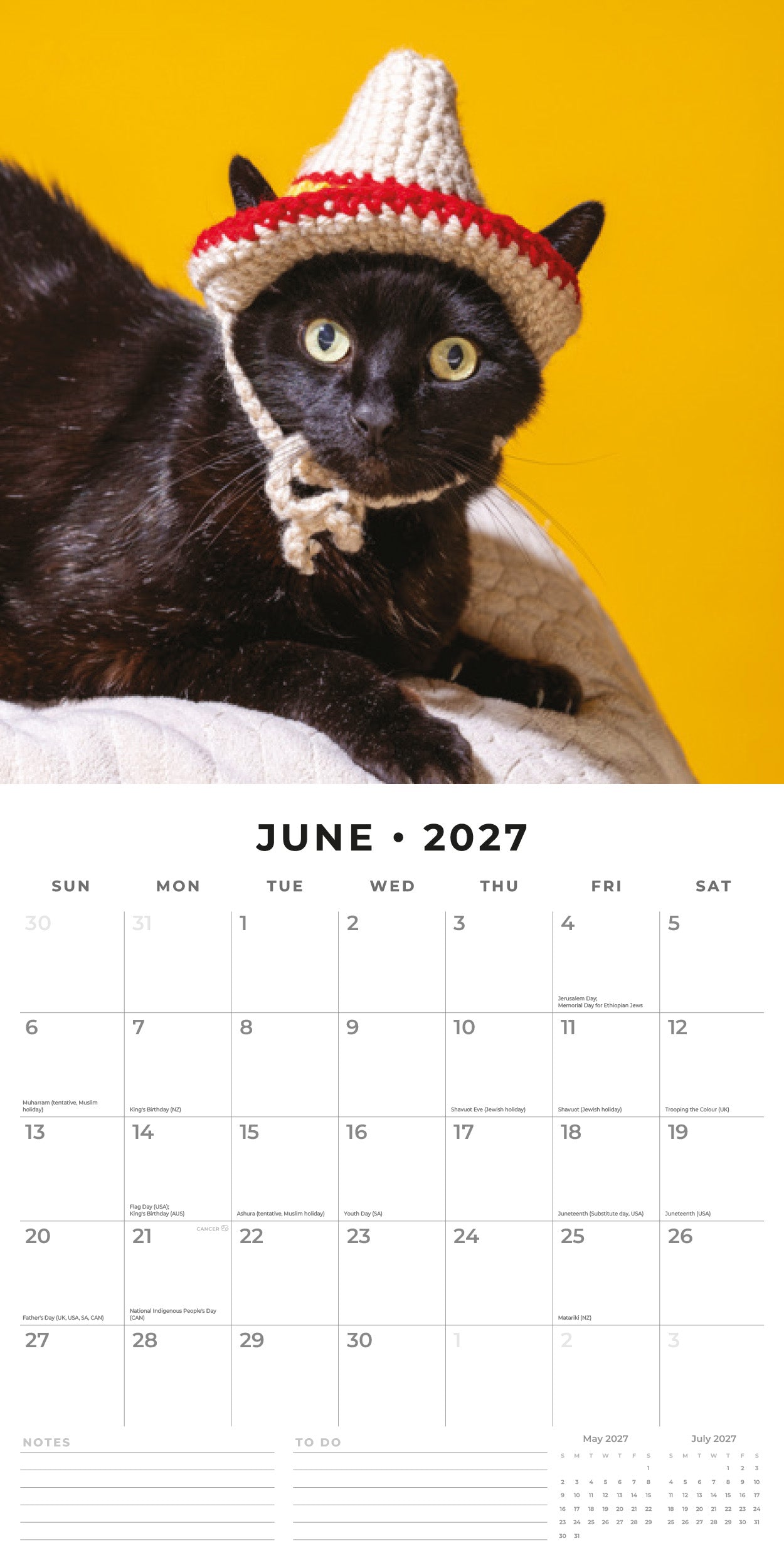 Red Robin 2027 Funny Cats Monthly Wall Calendar | 12" x 12"