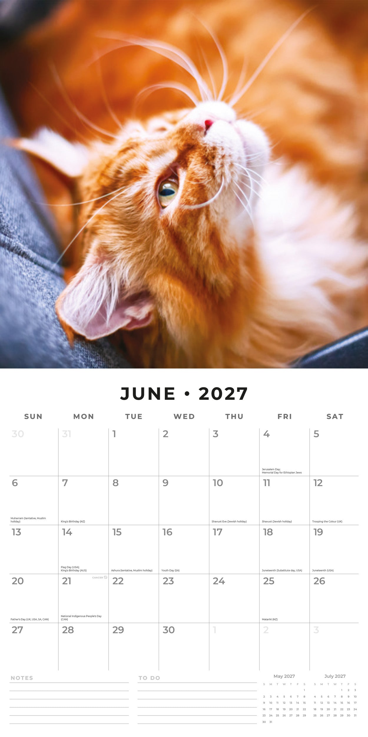 Red Robin 2027 Ginger Cats Monthly Wall Calendar | 12" x 12"