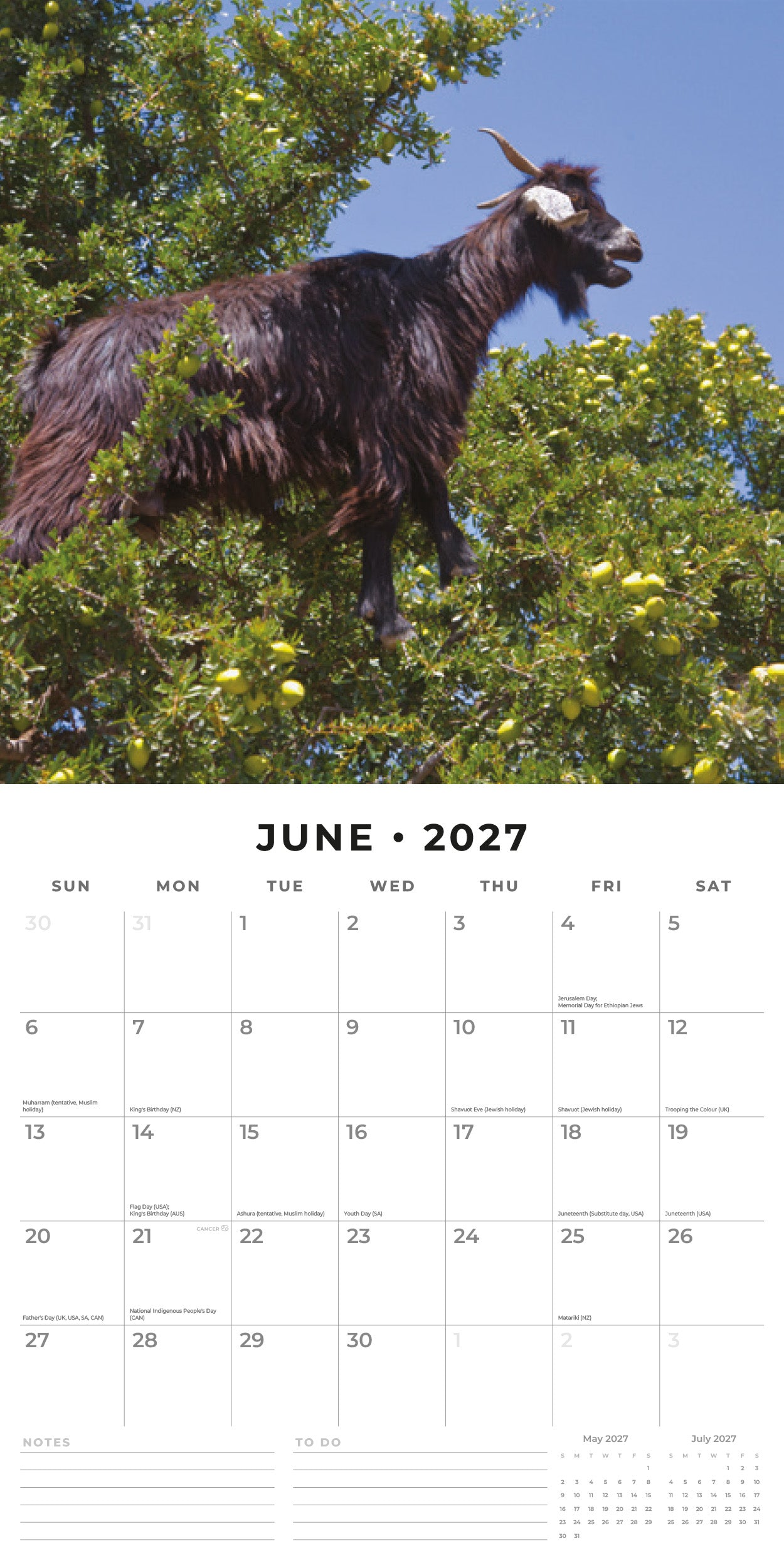 Red Robin 2027 Goats in Trees Monthly Wall Calendar | 12" x 12"