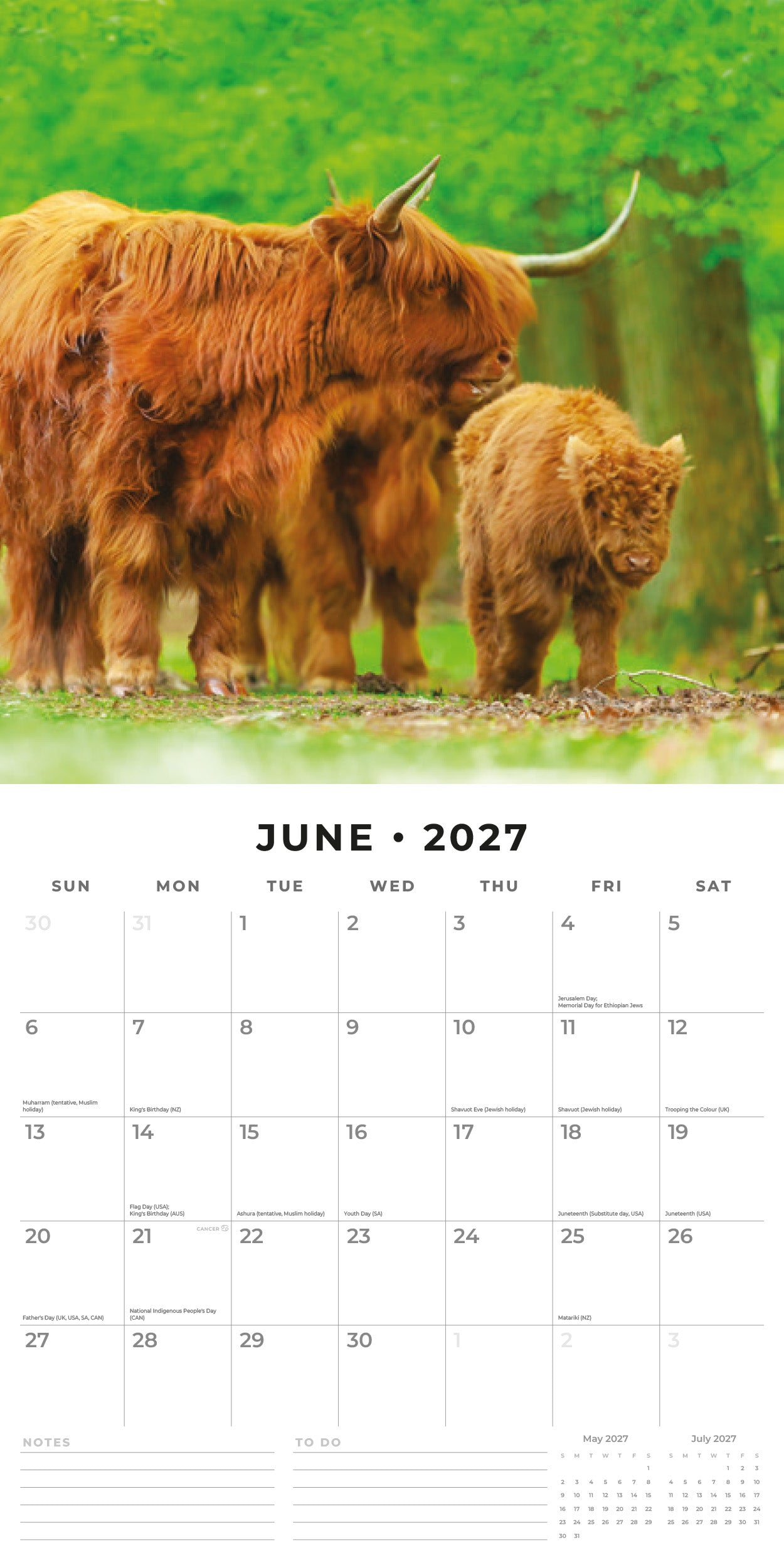 Red Robin 2027 Highland Cows Monthly Wall Calendar | 12" x 12"