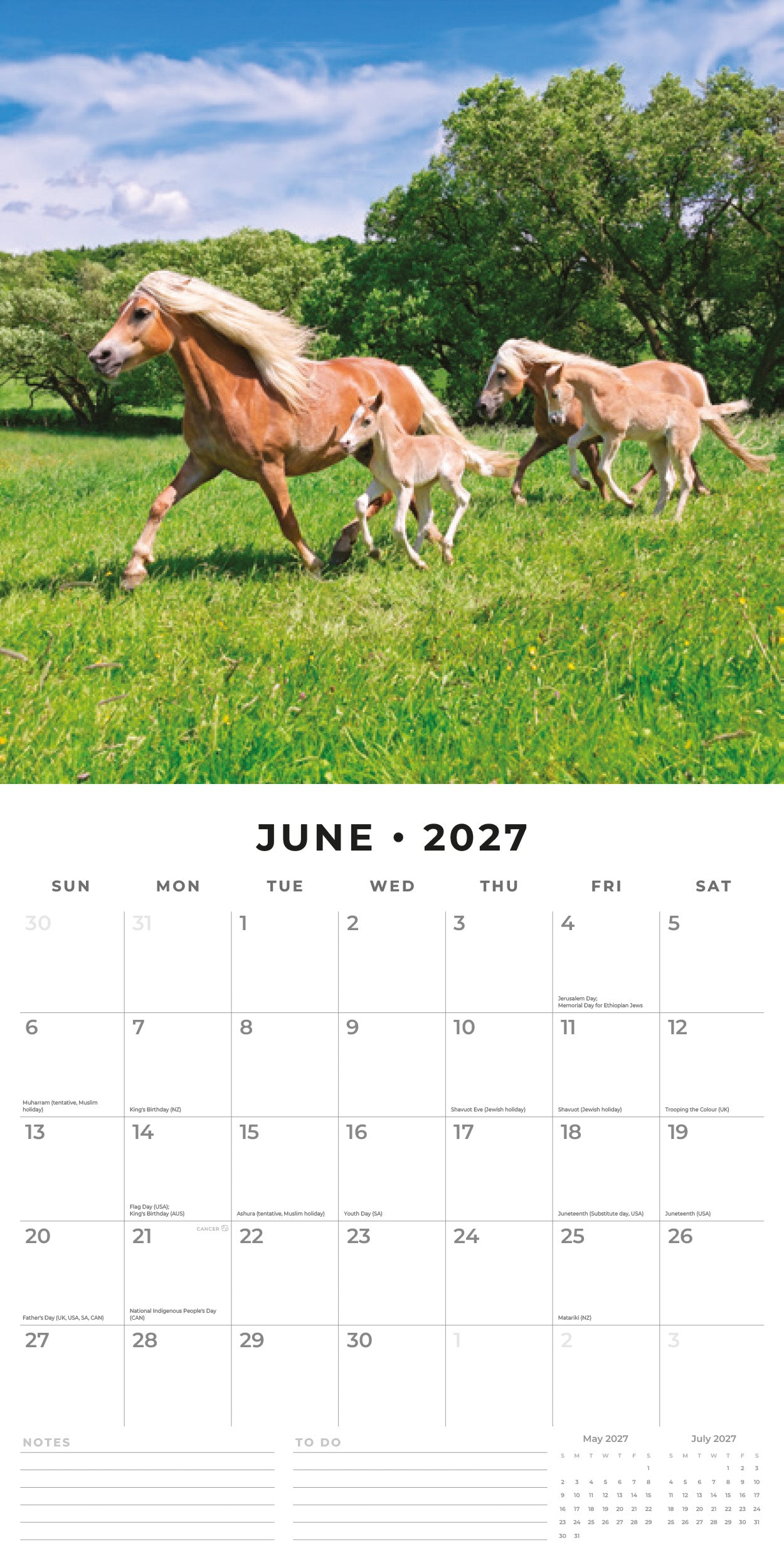 Red Robin 2027 Horses Monthly Wall Calendar | 12" x 12"