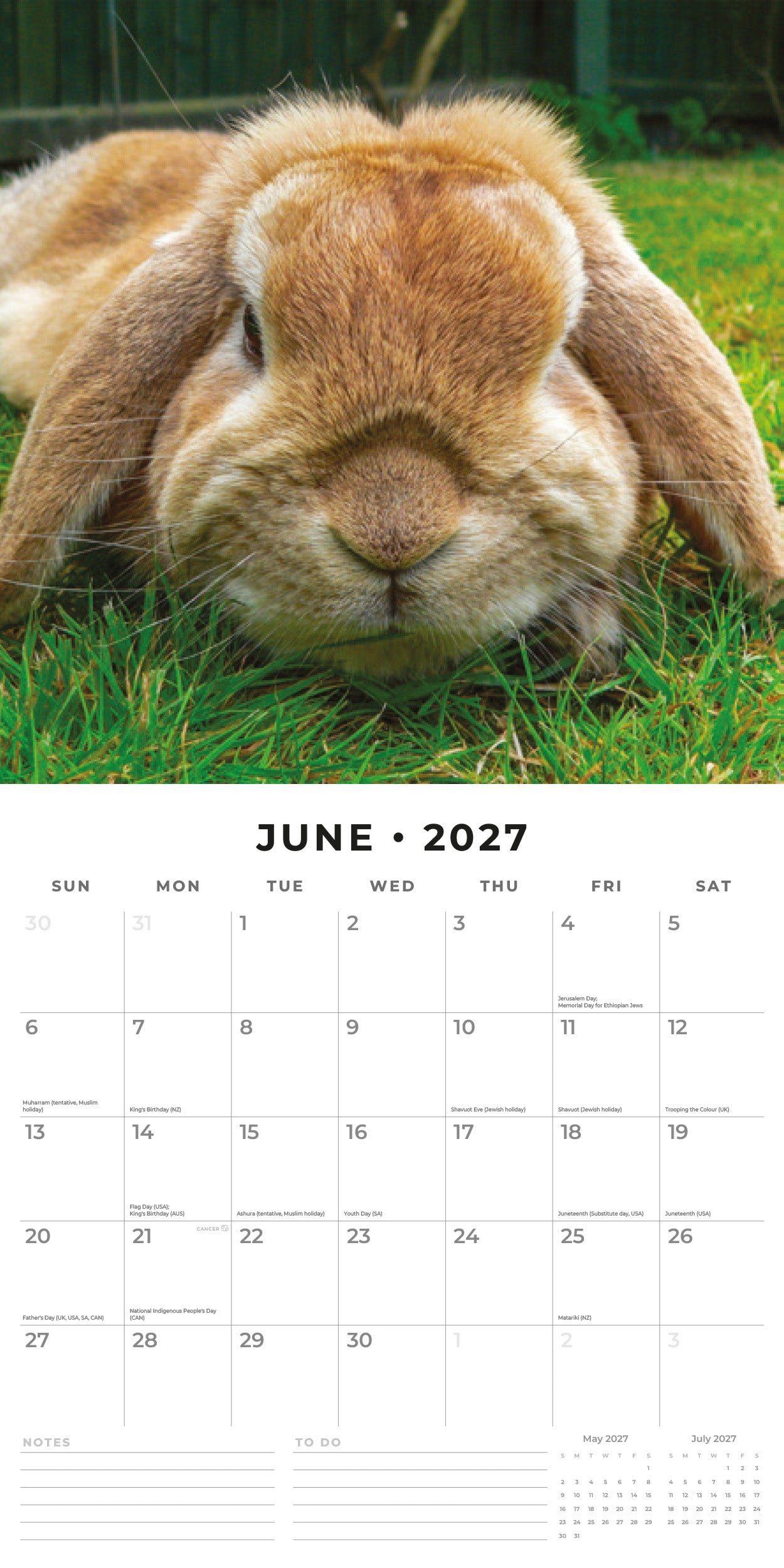 Red Robin 2027 Long Eared Rabbits Monthly Wall Calendar | 12" x 12"