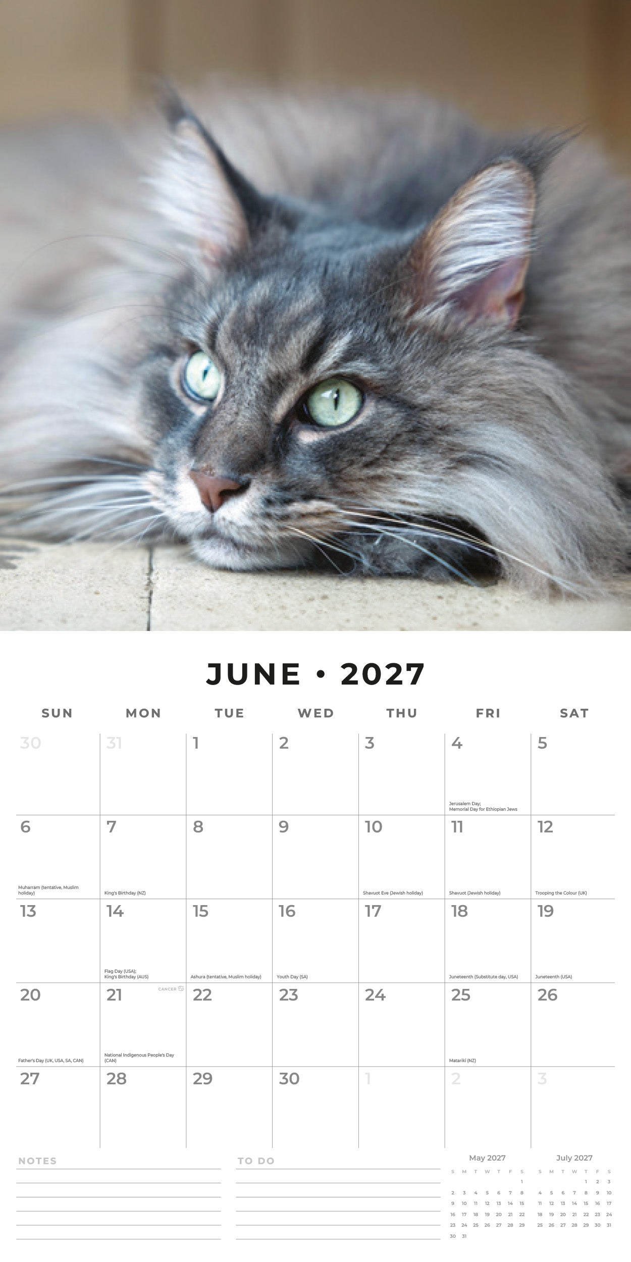 Red Robin 2027 Maine Coon Cats Monthly Wall Calendar | 12" x 12"