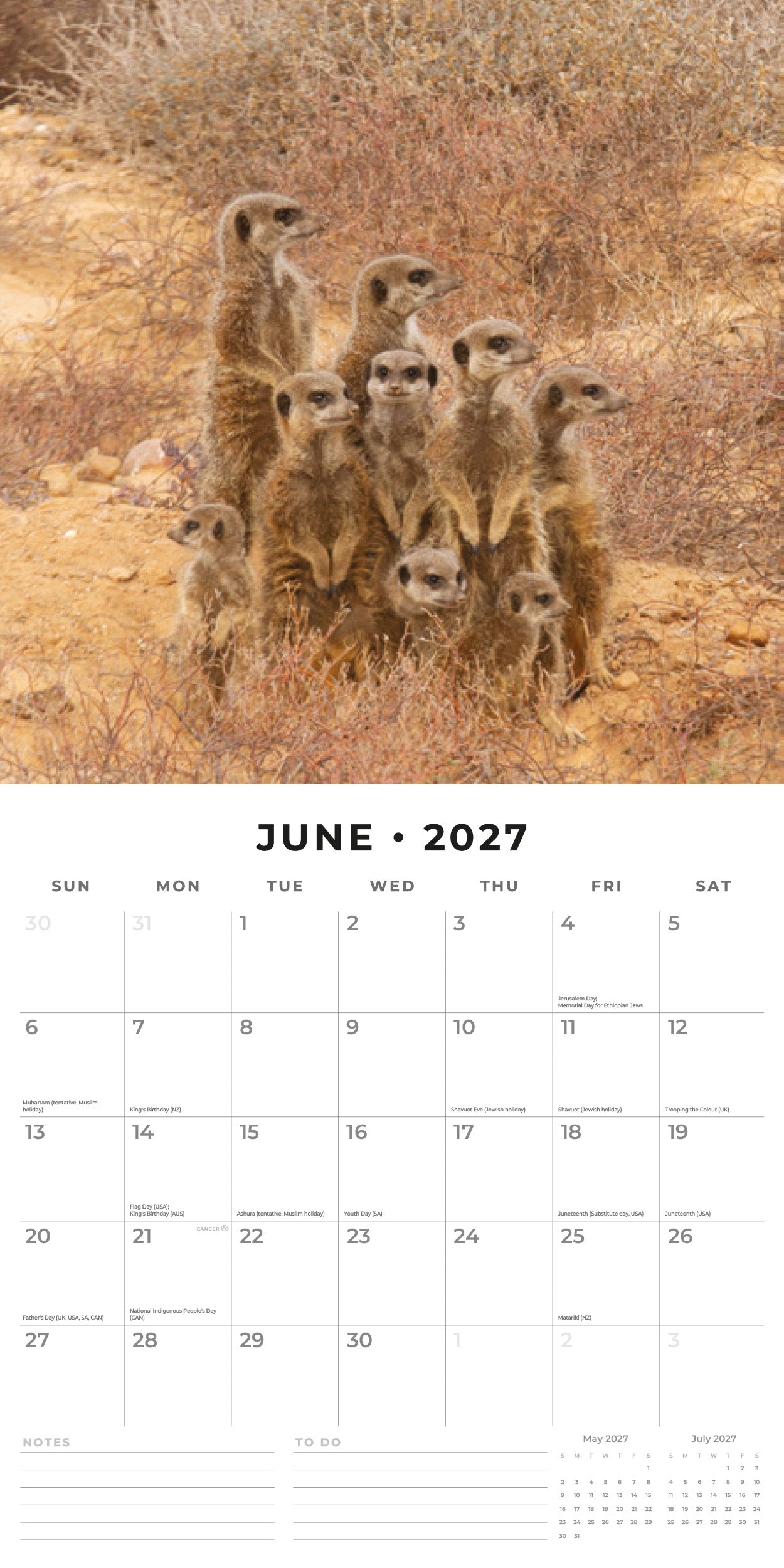Red Robin 2027 Meerkats Monthly Wall Calendar | 12" x 12"