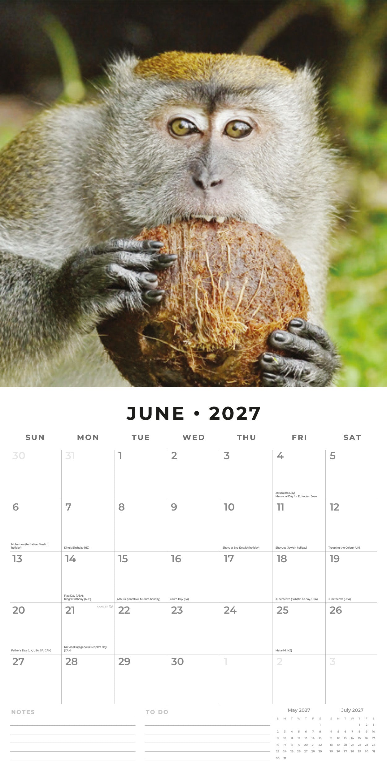 Red Robin 2027 Monkey Business Monthly Wall Calendar | 12" x 12"