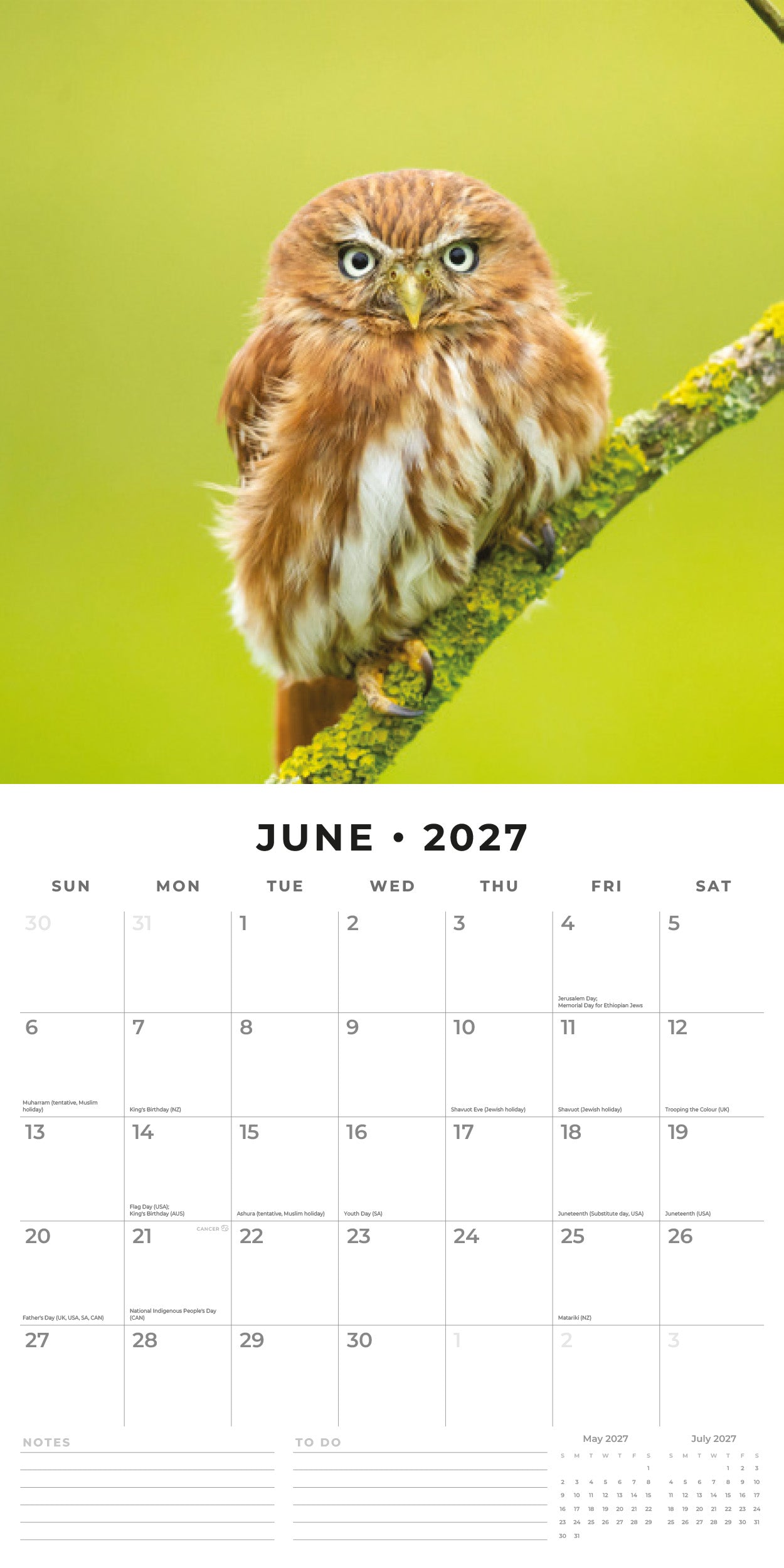 Red Robin 2027 Owls Monthly Wall Calendar | 12" x 12"