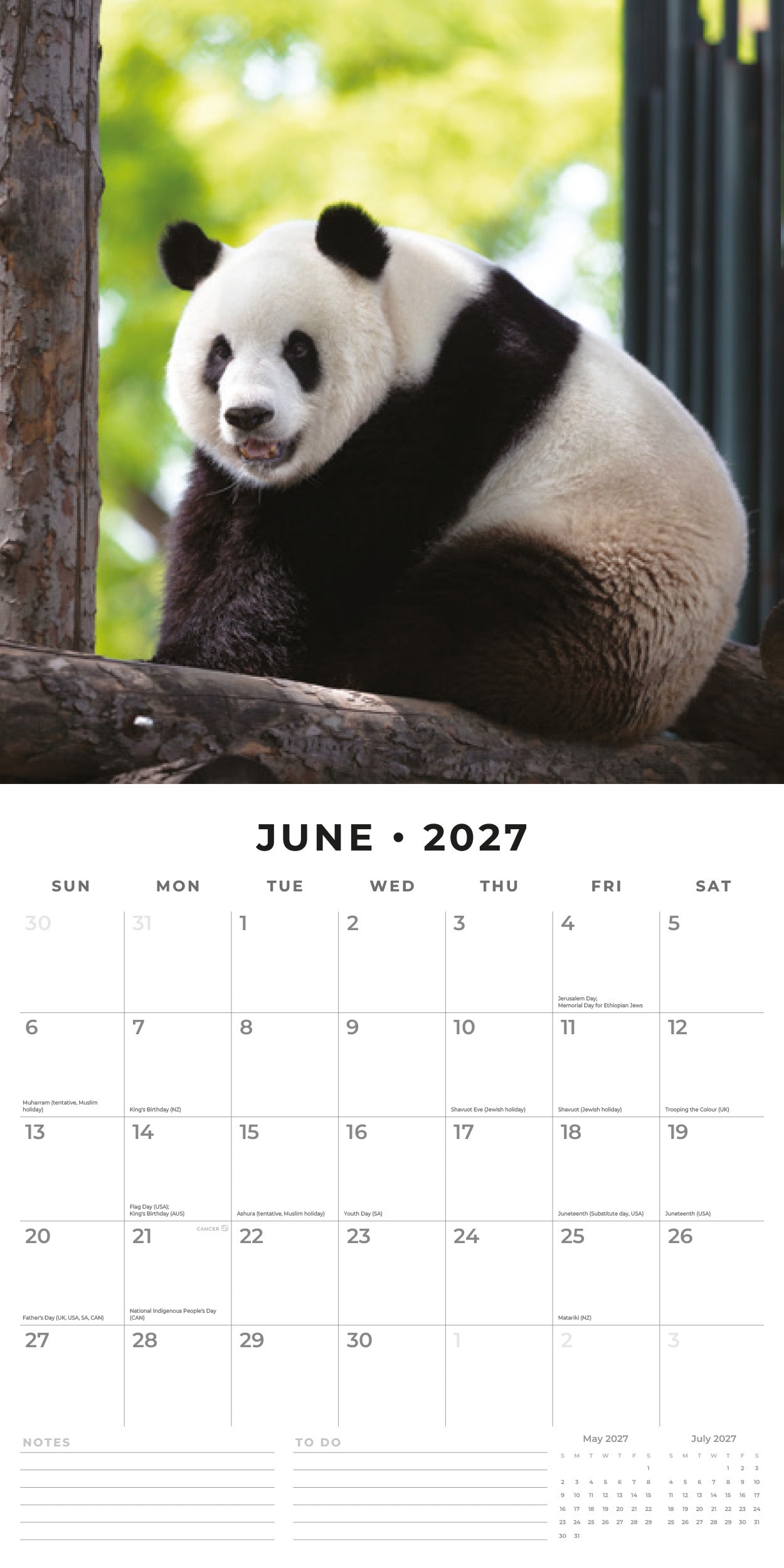 Red Robin 2027 Pandas Monthly Wall Calendar | 12" x 12"