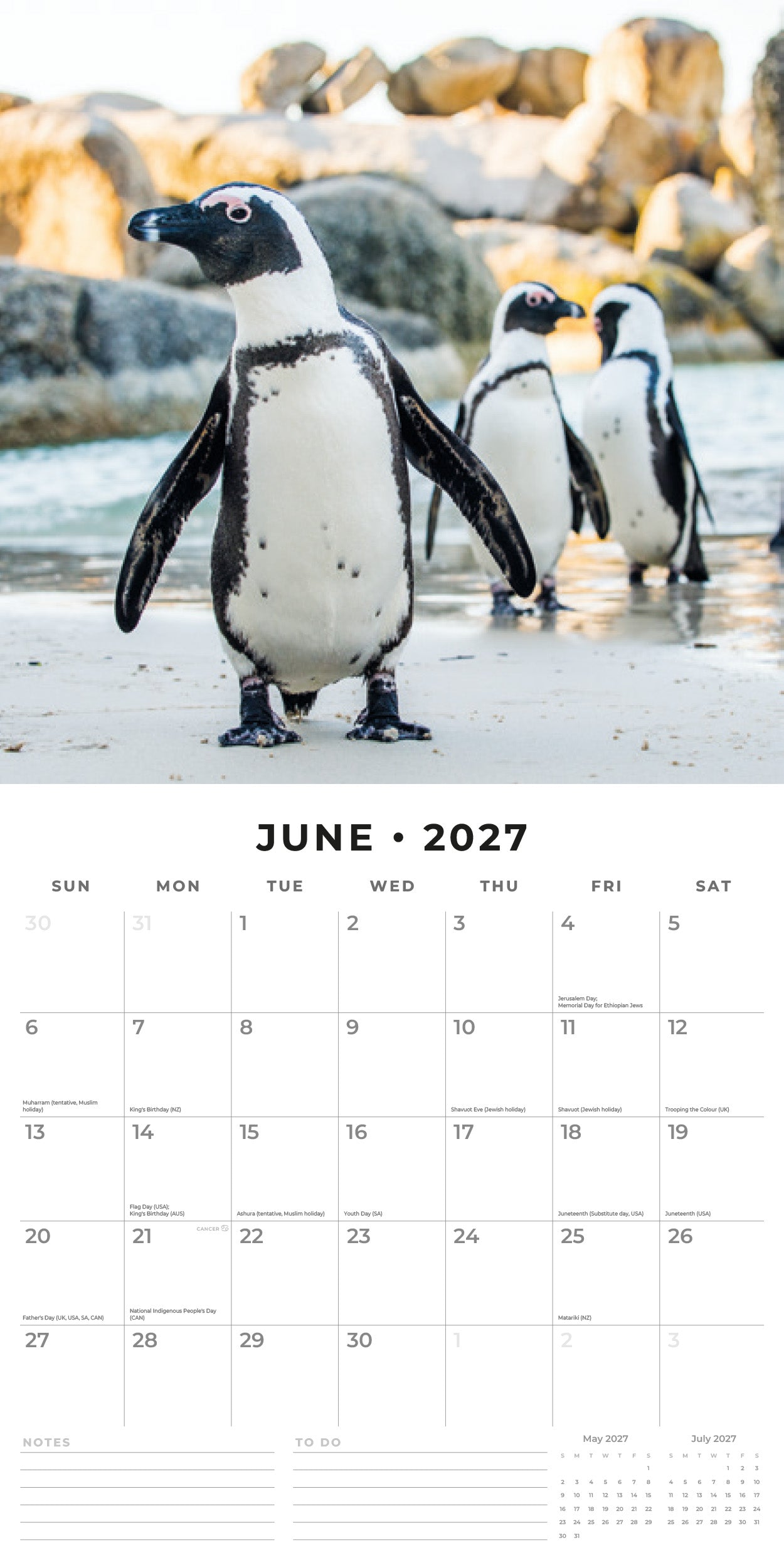 Red Robin 2027 Penguins Monthly Wall Calendar | 12" x 12"