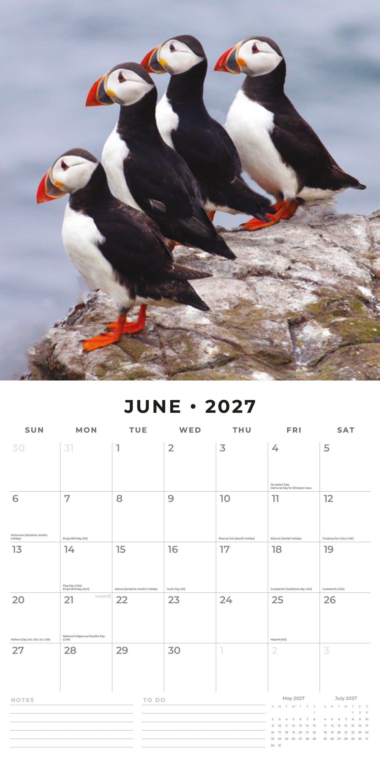 Red Robin 2027 Puffins Monthly Wall Calendar | 12" x 12"