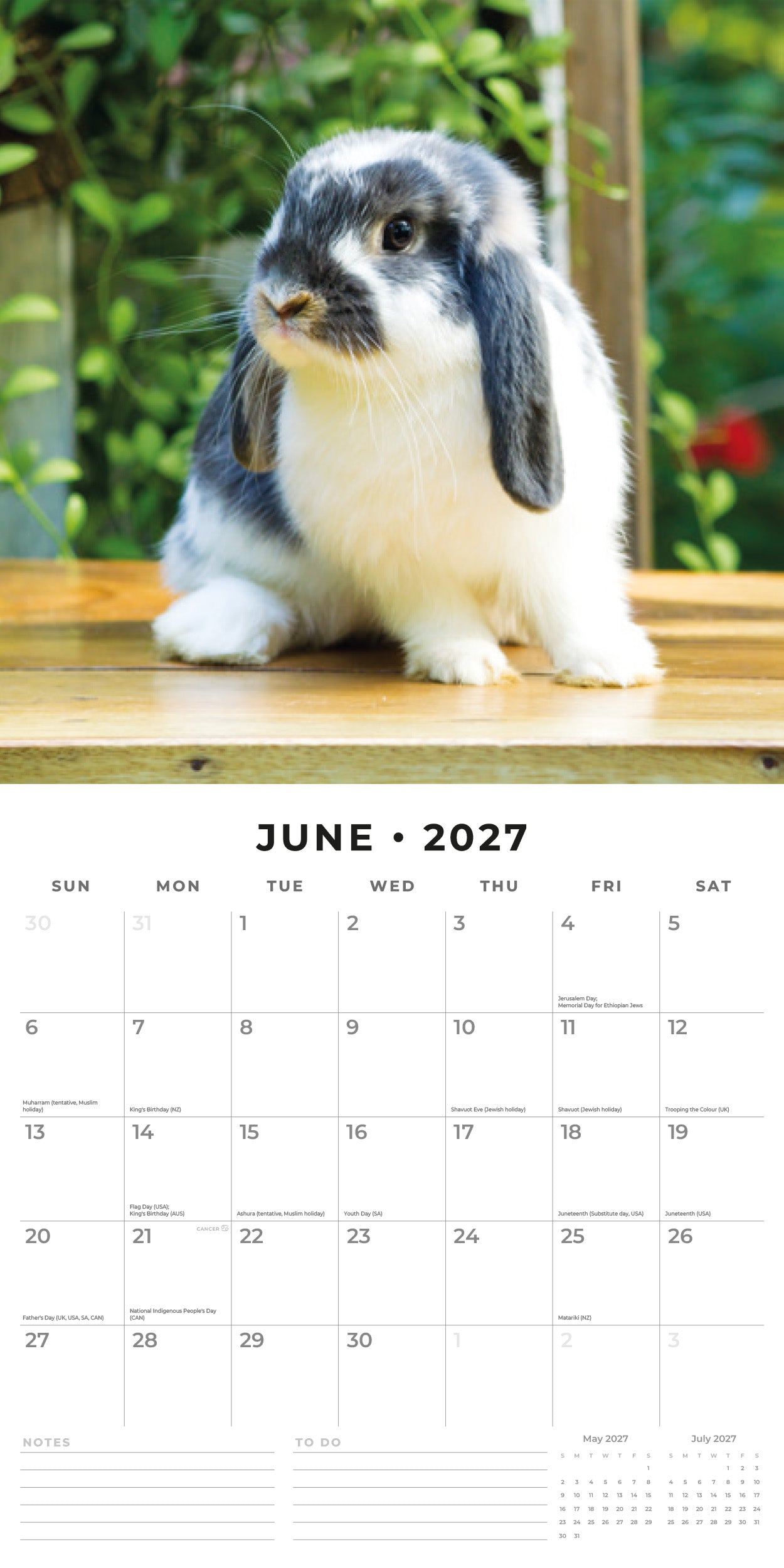 Red Robin 2027 Rabbits Monthly Wall Calendar | 12" x 12"