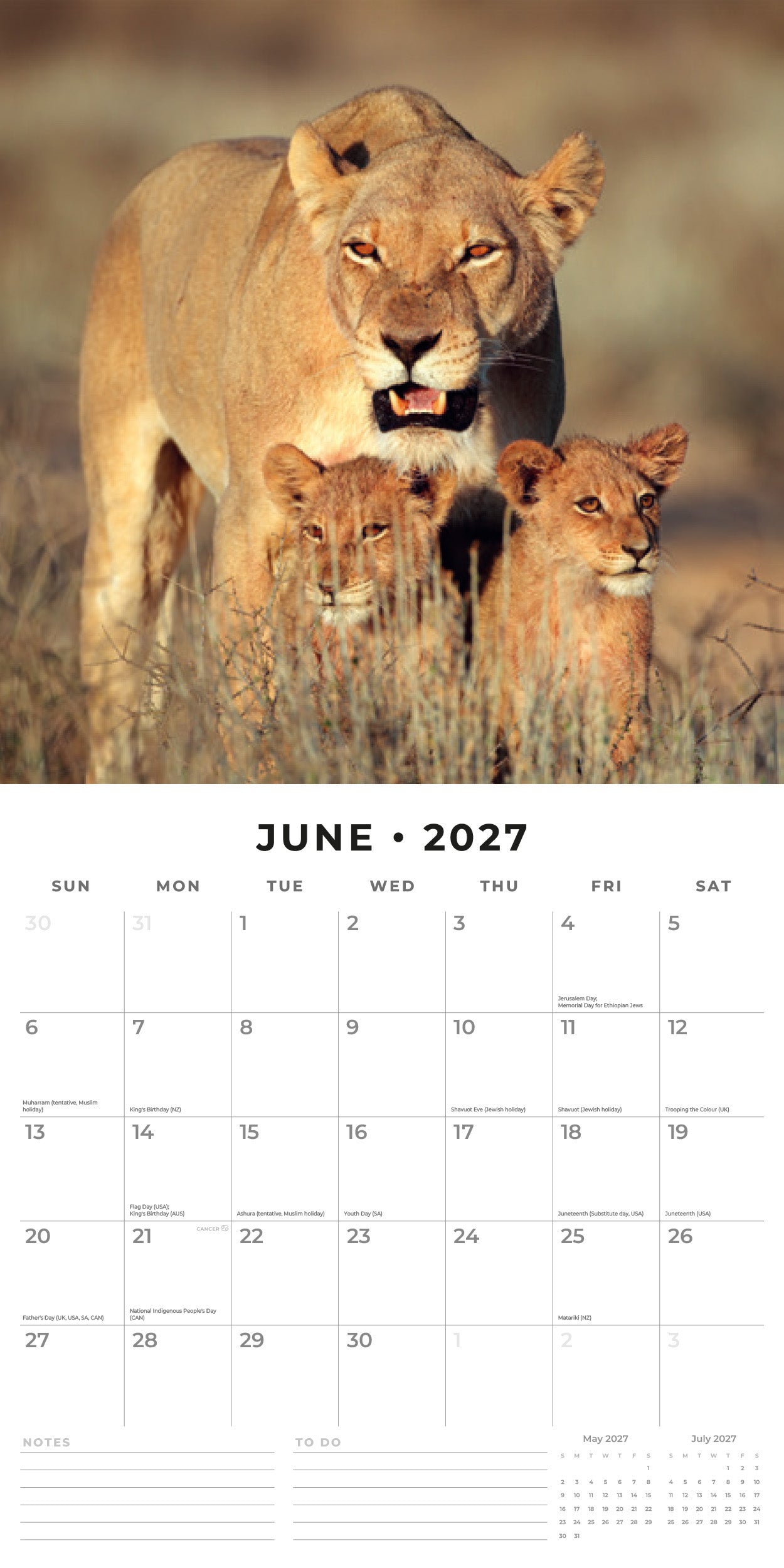 Red Robin 2027 Safari Monthly Wall Calendar | 12" x 12"