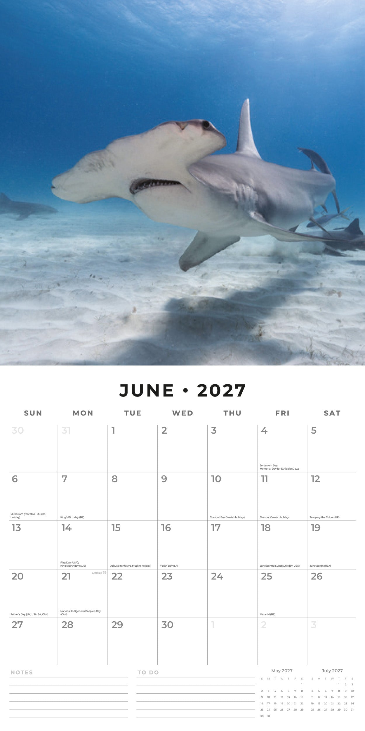 Red Robin 2027 Sharks Monthly Wall Calendar | 12" x 12"