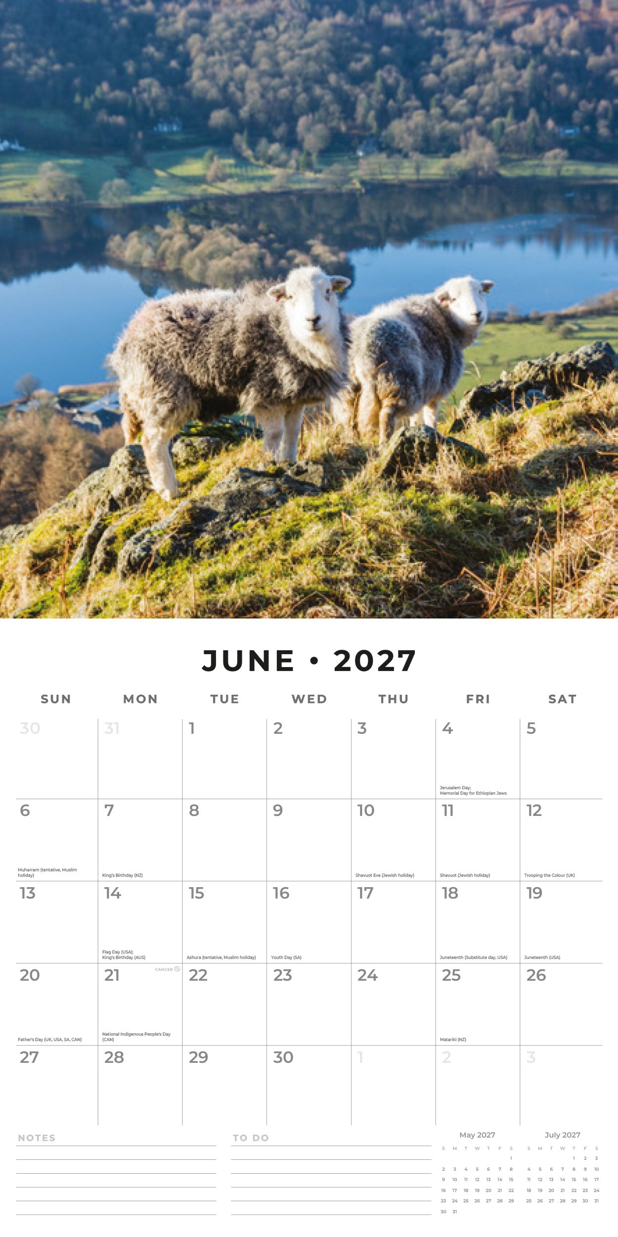 Red Robin 2027 Sheep Monthly Wall Calendar | 12" x 12"