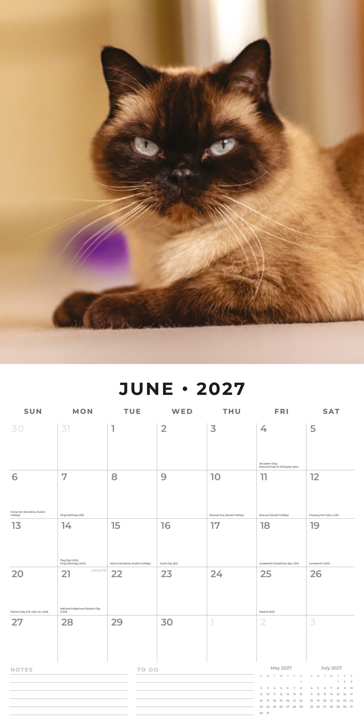 Red Robin 2027 Siamese Cats Monthly Wall Calendar | 12" x 12"
