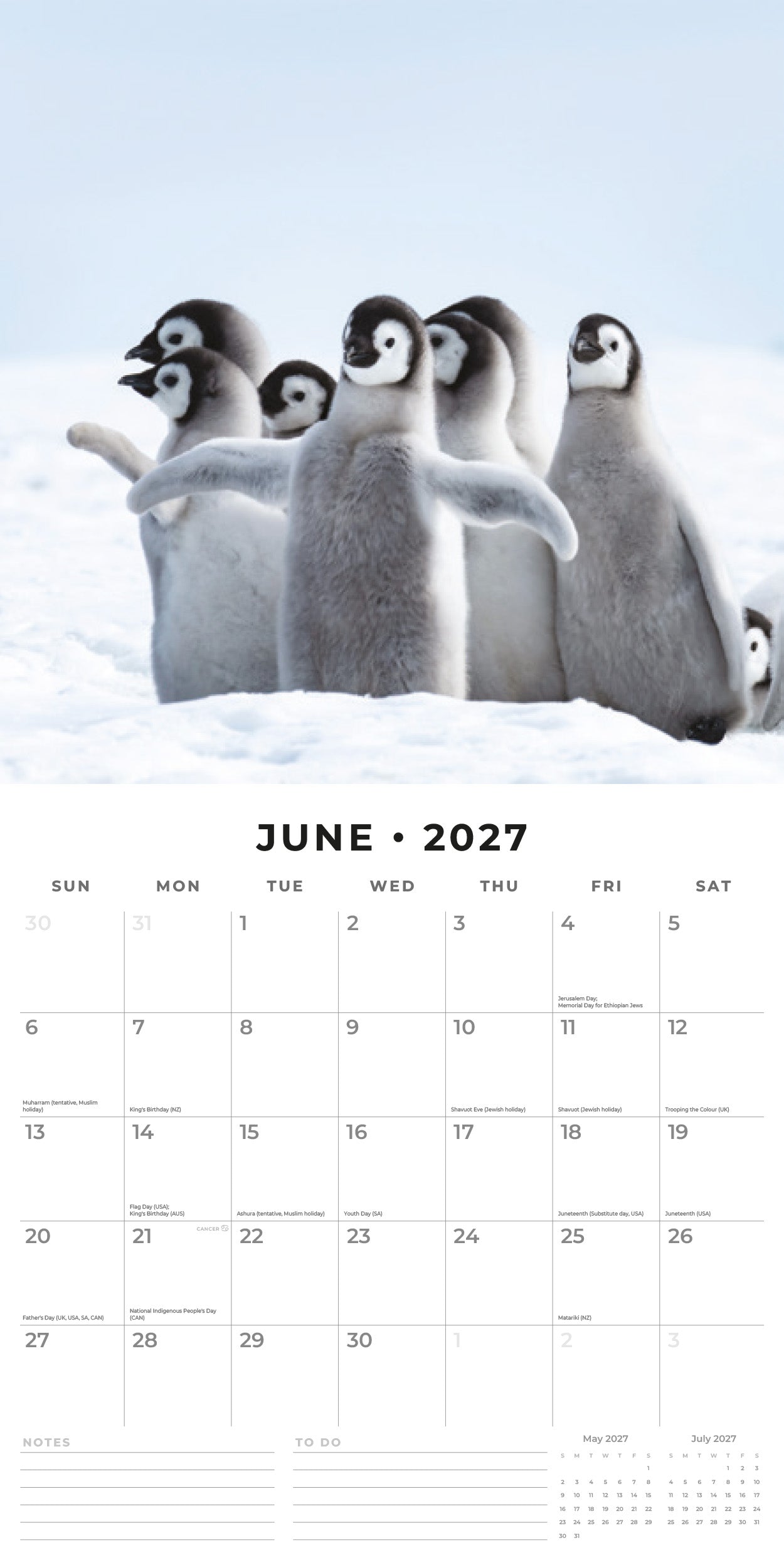 Red Robin 2027 Snow Animals Monthly Wall Calendar | 12" x 12"
