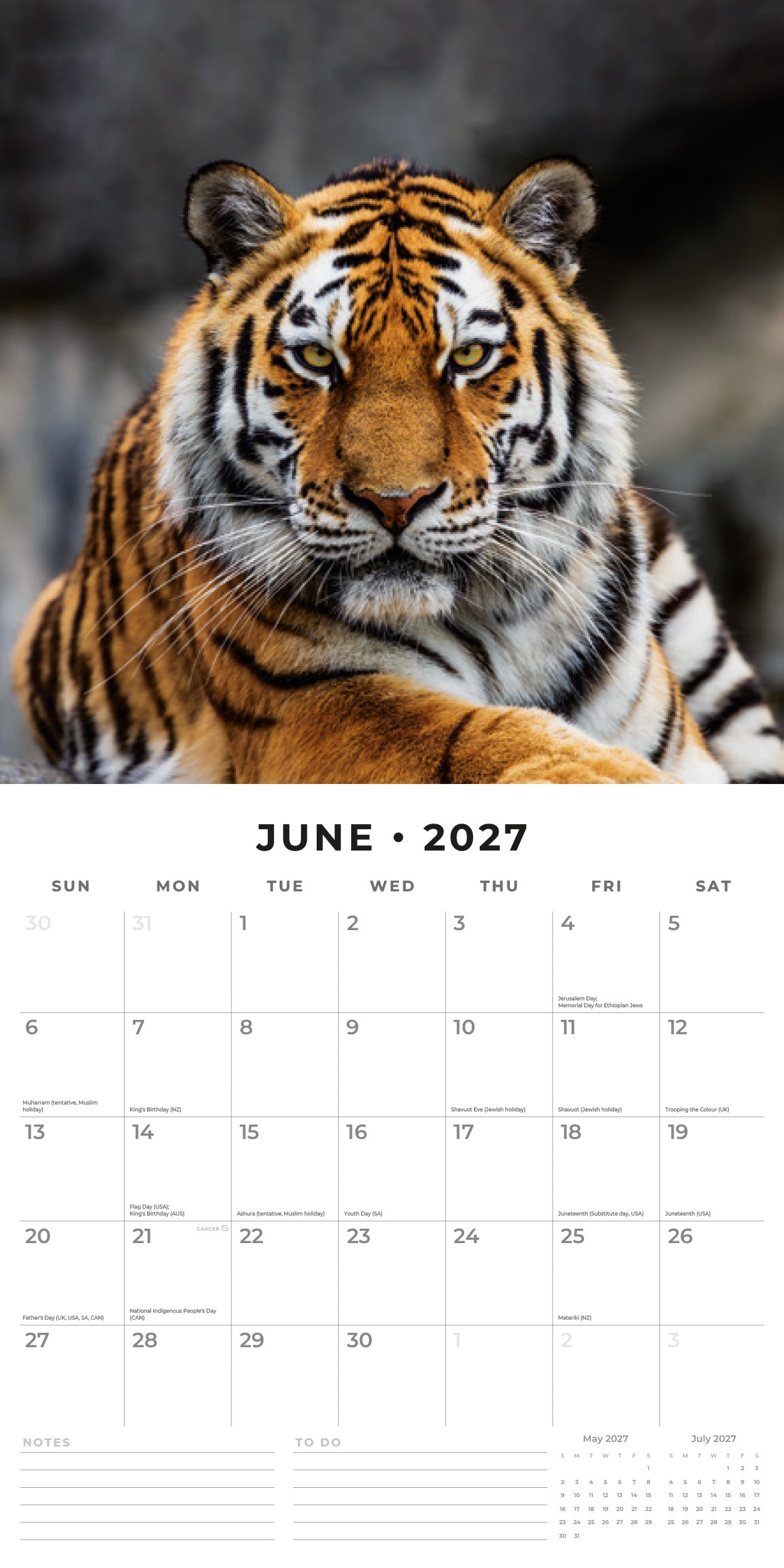 Red Robin 2027 Tigers Monthly Wall Calendar | 12" x 12"