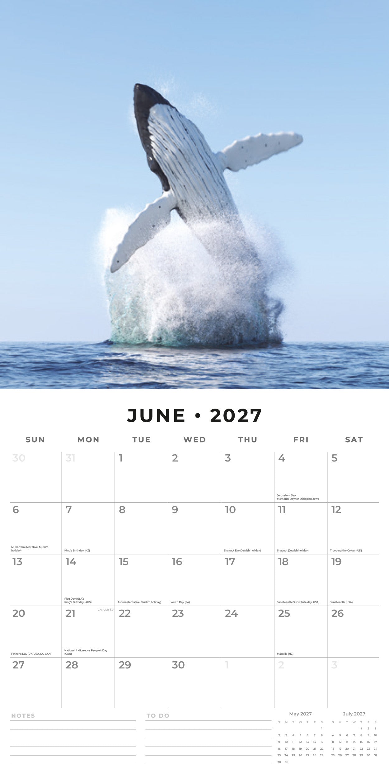 Red Robin 2027 Whales Monthly Wall Calendar | 12" x 12"