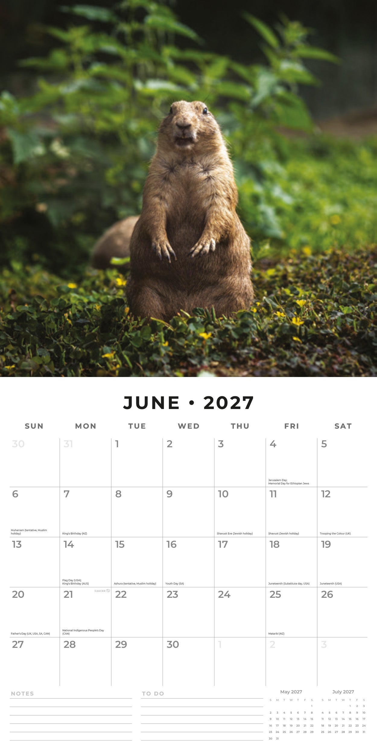 Red Robin 2027 Wildlife of America Monthly Wall Calendar | 12" x 12"