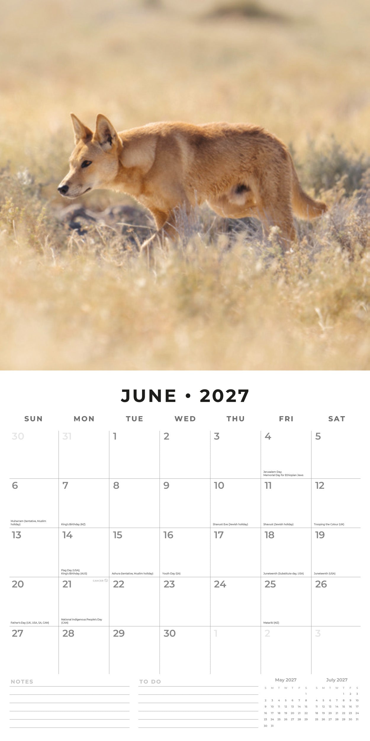Red Robin 2027 Wildlife of Australia Monthly Wall Calendar | 12" x 12"