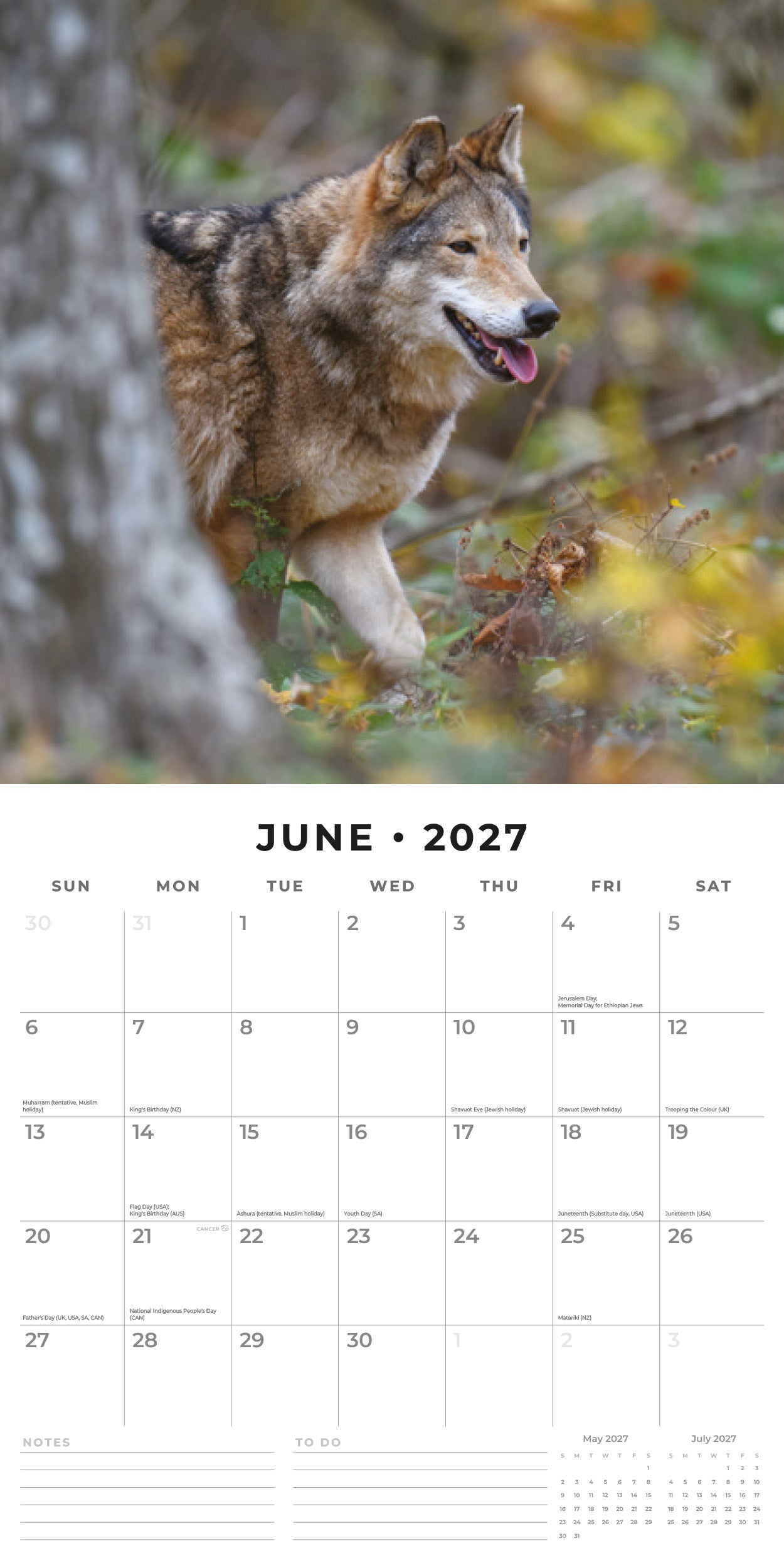 Red Robin 2027 Wolves Monthly Wall Calendar | 12" x 12"