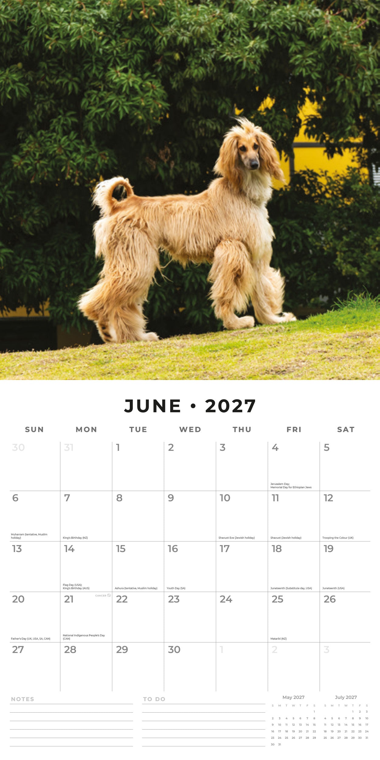 Red Robin 2027 Afghans Monthly Wall Calendar | 12" x 12"
