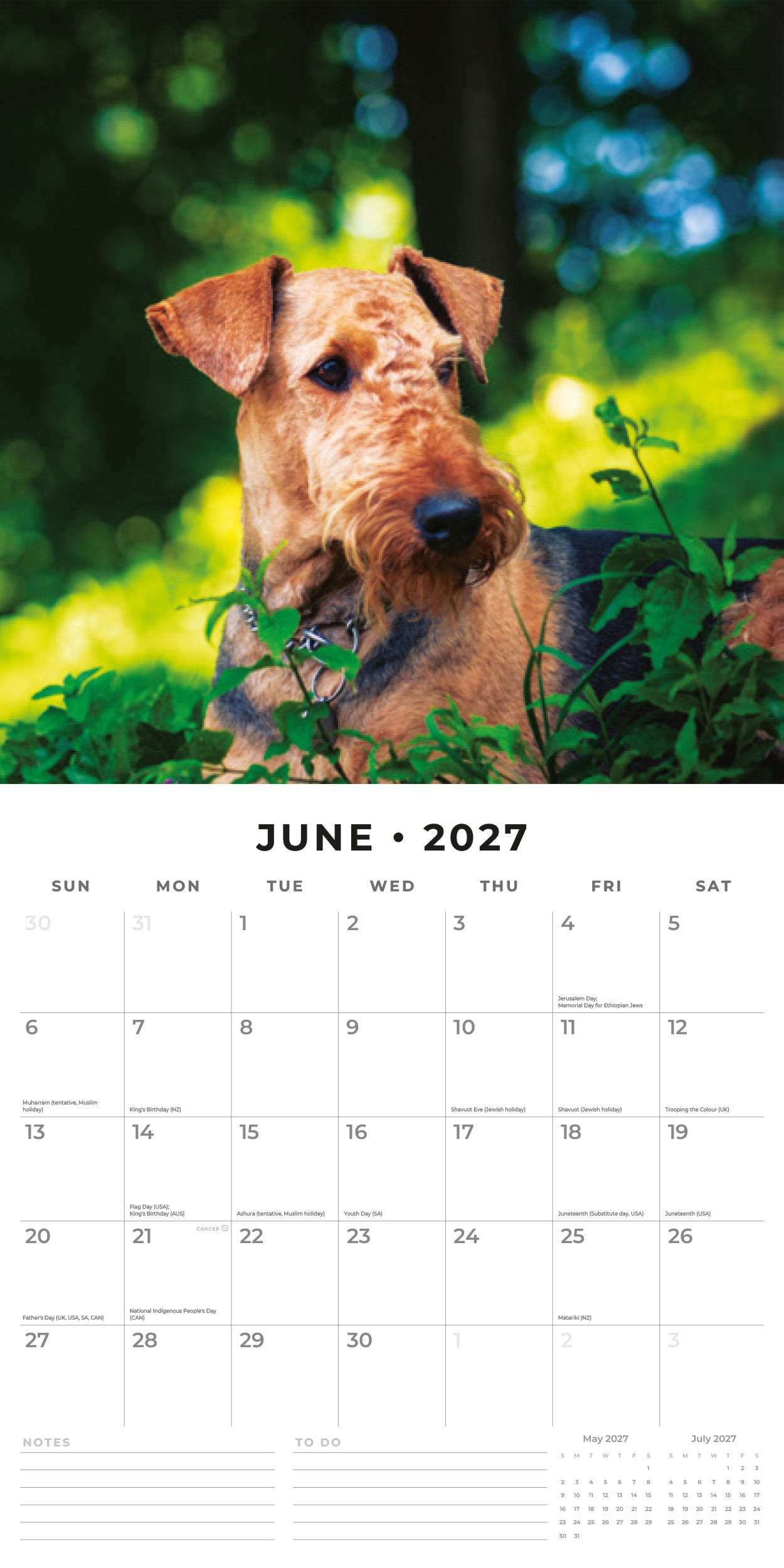 Red Robin 2027 Airedale Terriers Monthly Wall Calendar | 12" x 12"