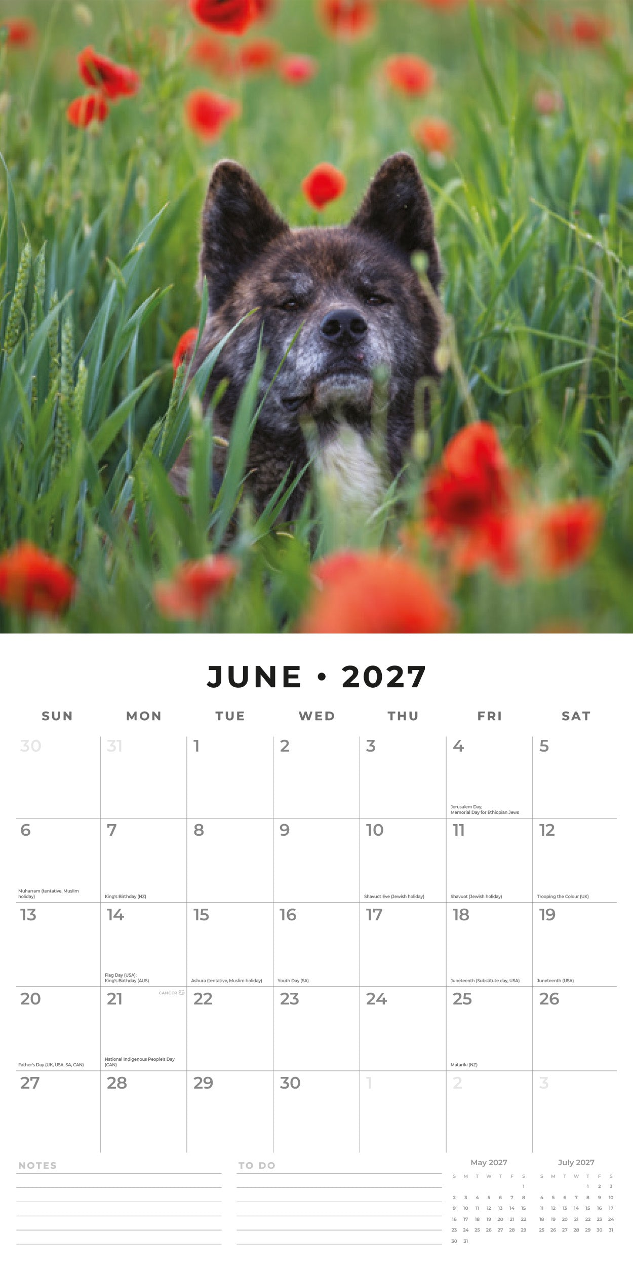 Red Robin 2027 Akitas Monthly Wall Calendar | 12" x 12"