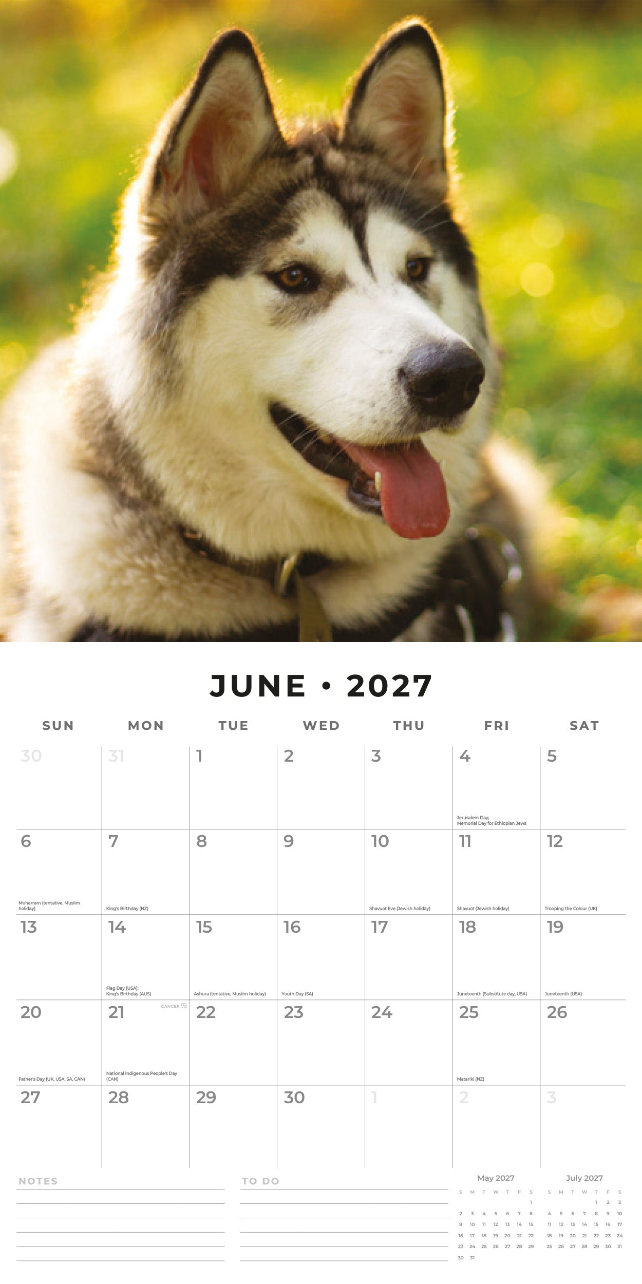 Red Robin 2027 Alaskan Malamutes Monthly Wall Calendar | 12" x 12"