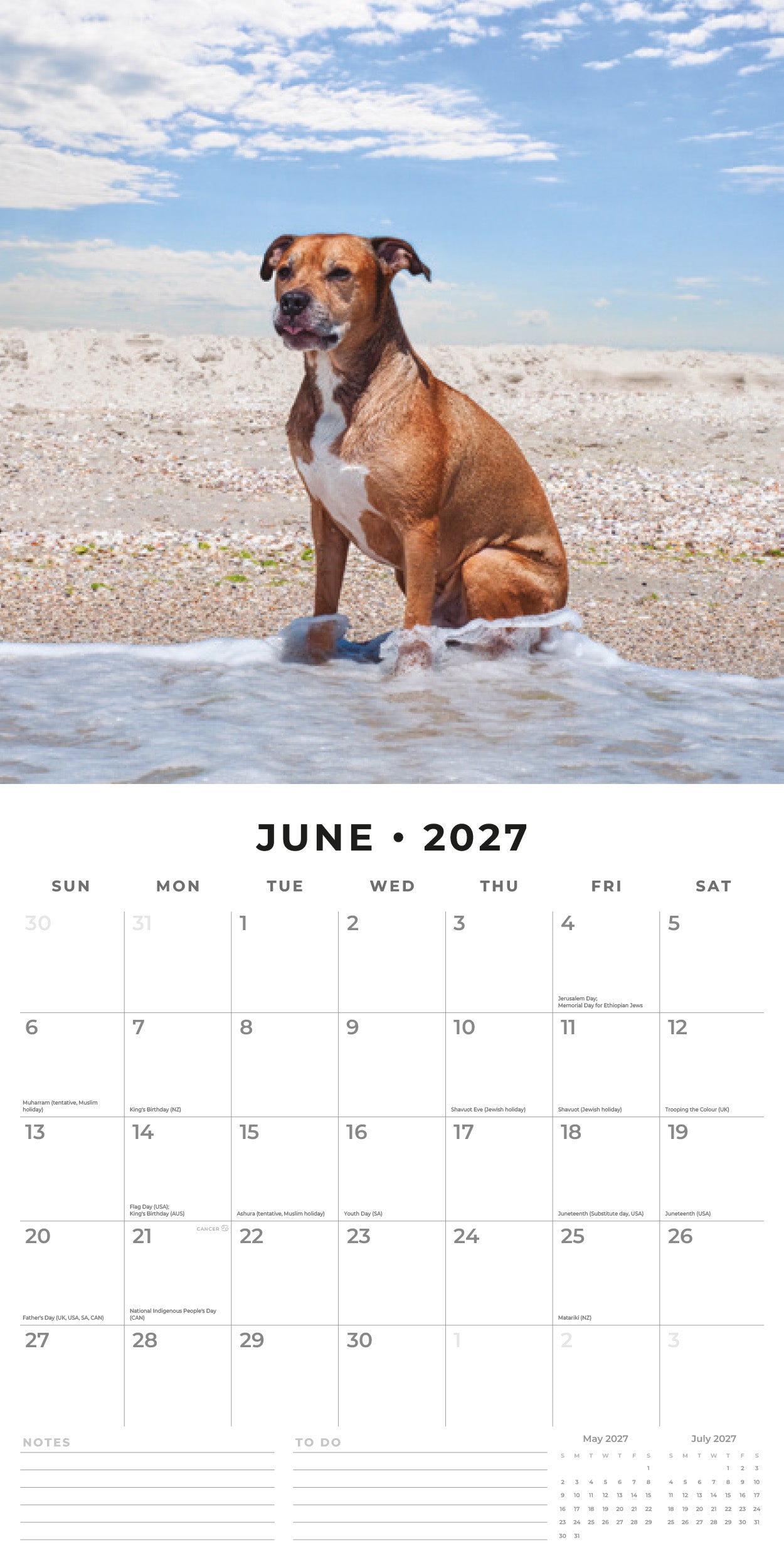 Red Robin 2027 American Pit Bull Terriers Wall Calendar | 12" x 12"