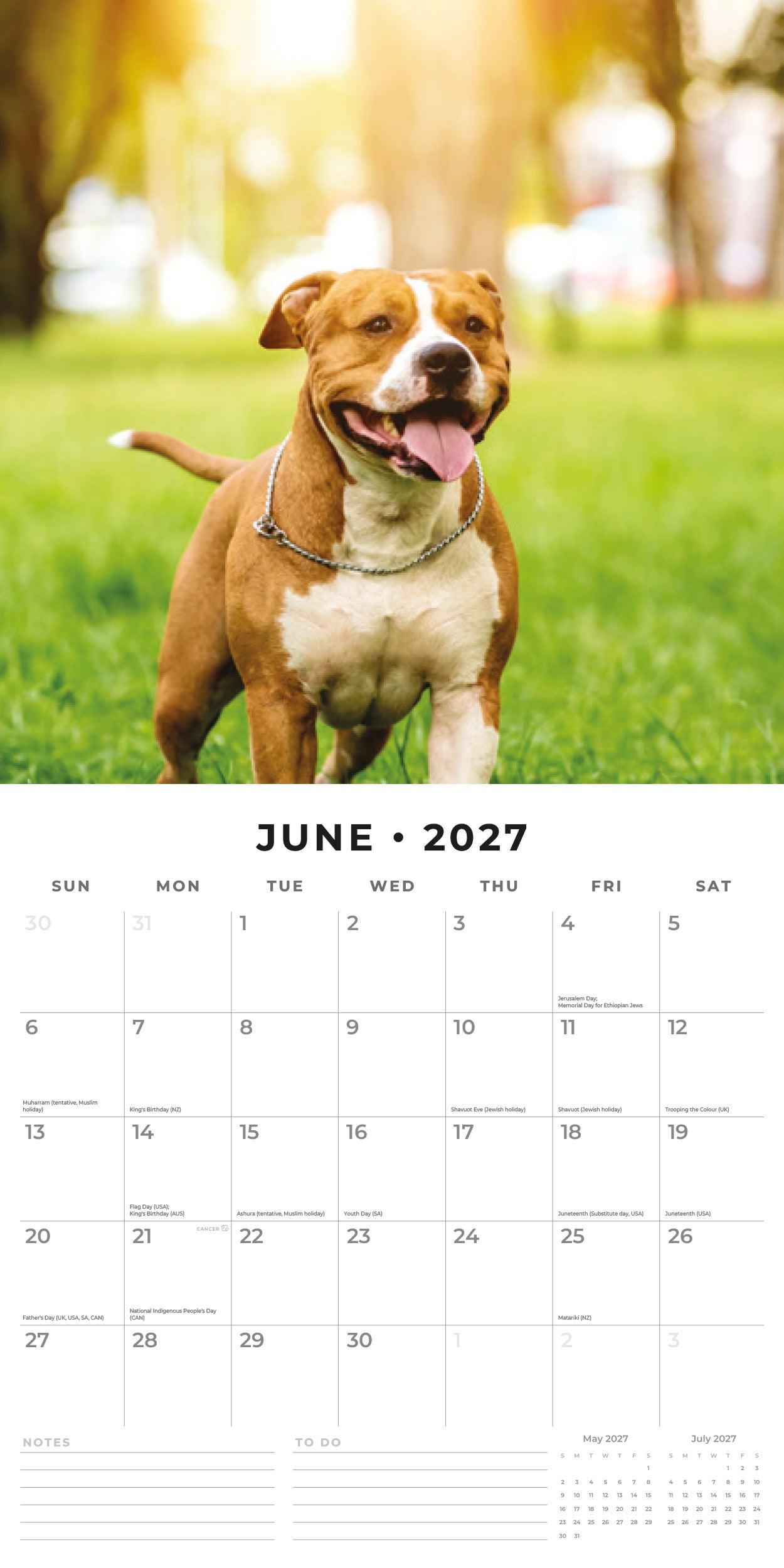 Red Robin 2027 American Staffordshire Terriers Wall Calendar | 12" x 12"