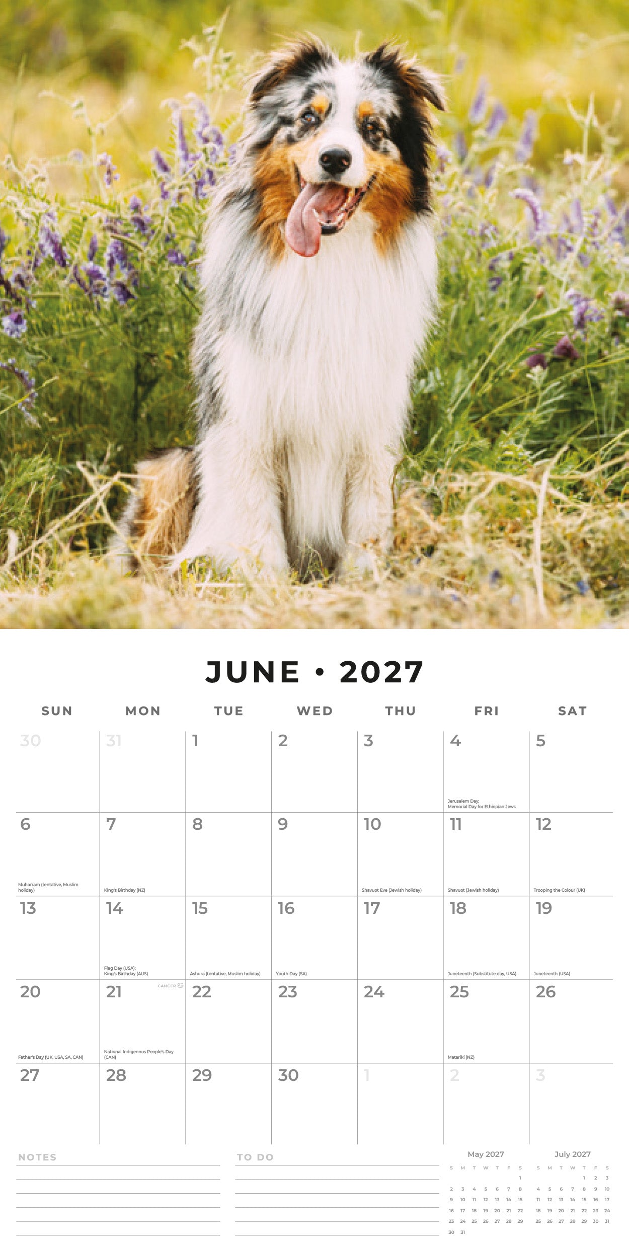 Red Robin 2027 Australian Shepherds Monthly Wall Calendar | 12" x 12"