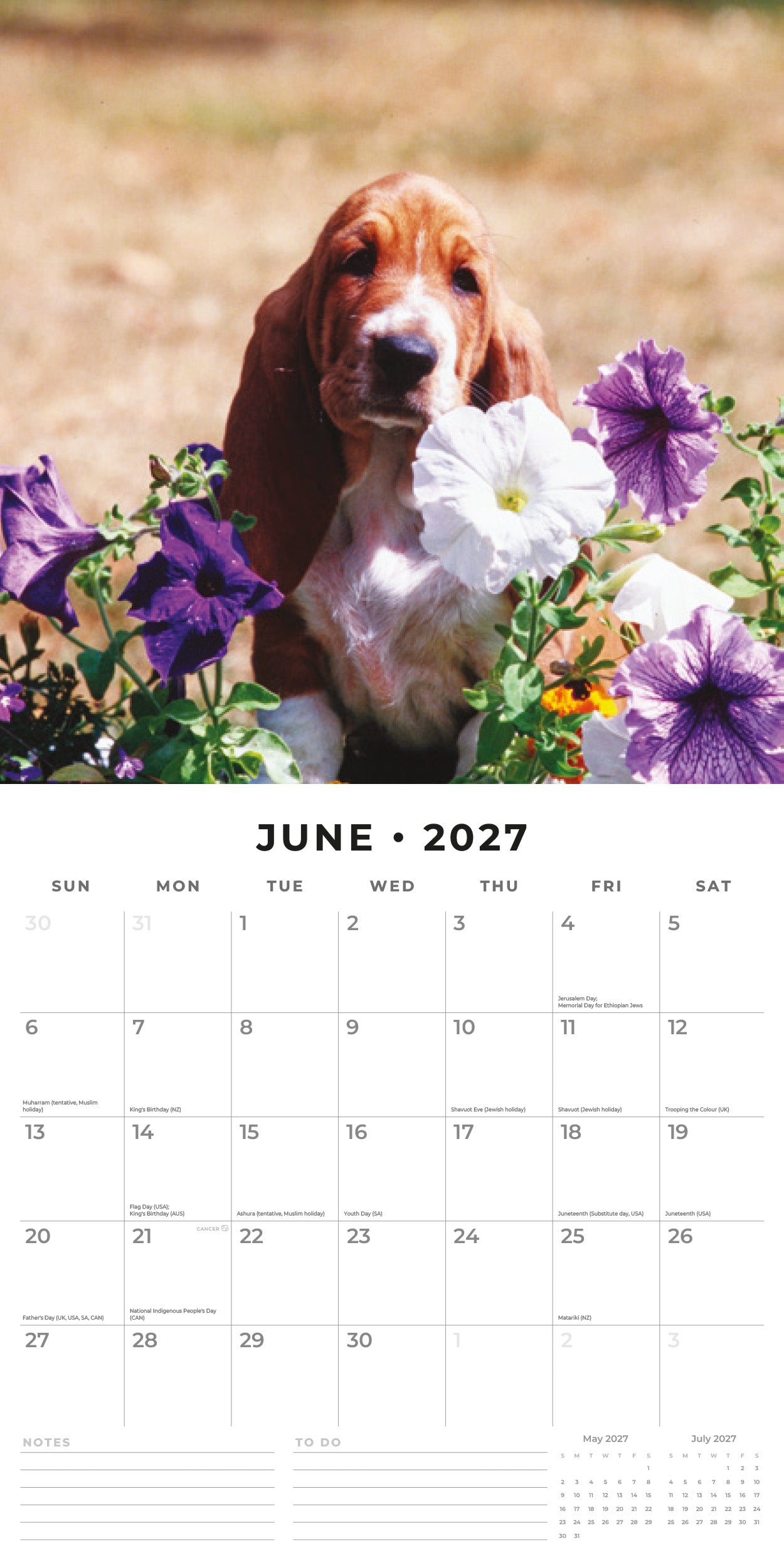 Red Robin 2027 Basset Hounds Monthly Wall Calendar | 12" x 12"
