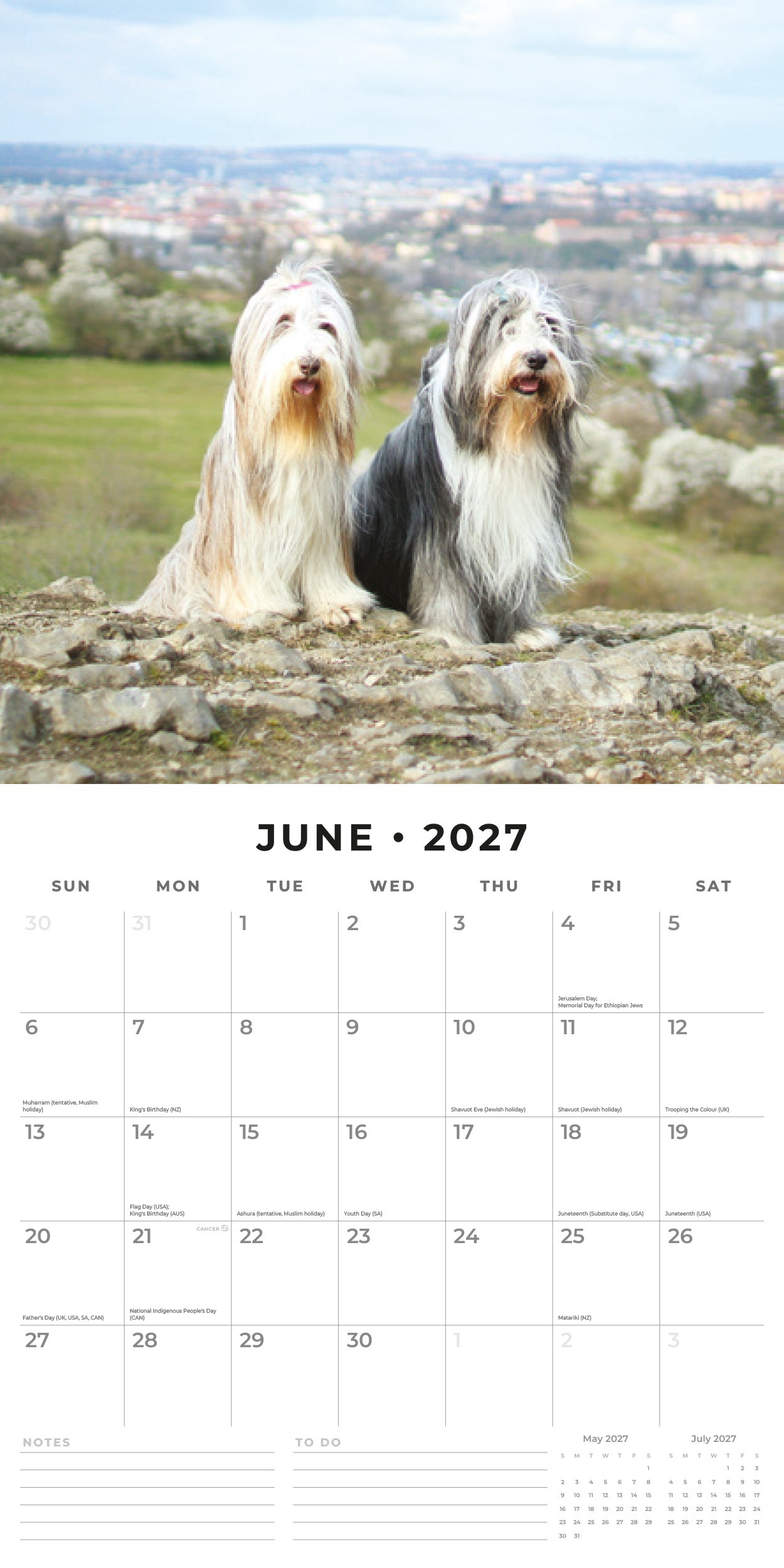 Red Robin 2027 Bearded Collies Monthly Wall Calendar | 12" x 12"
