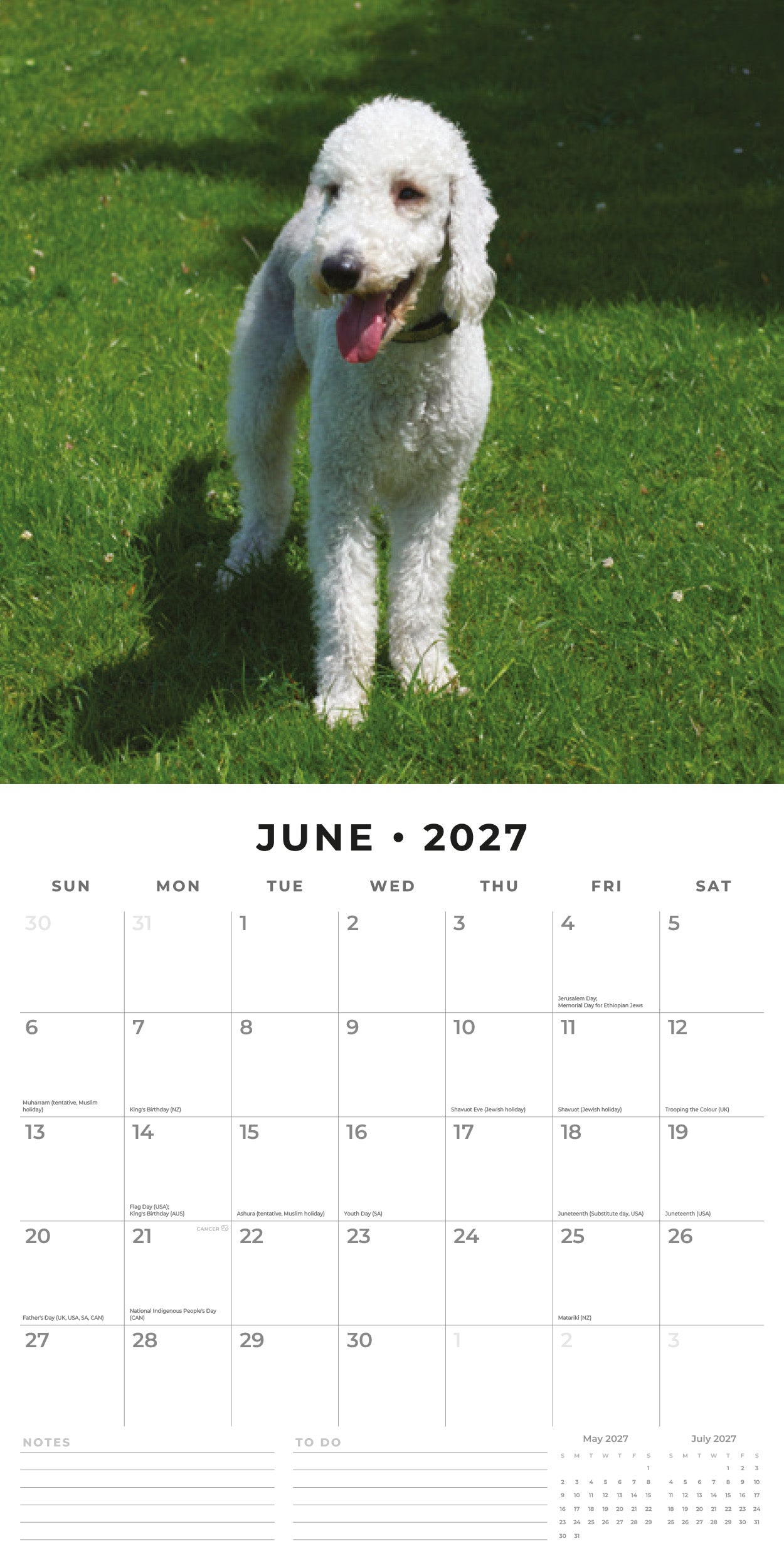 Red Robin 2027 Bedlington Terriers Monthly Wall Calendar | 12" x 12"