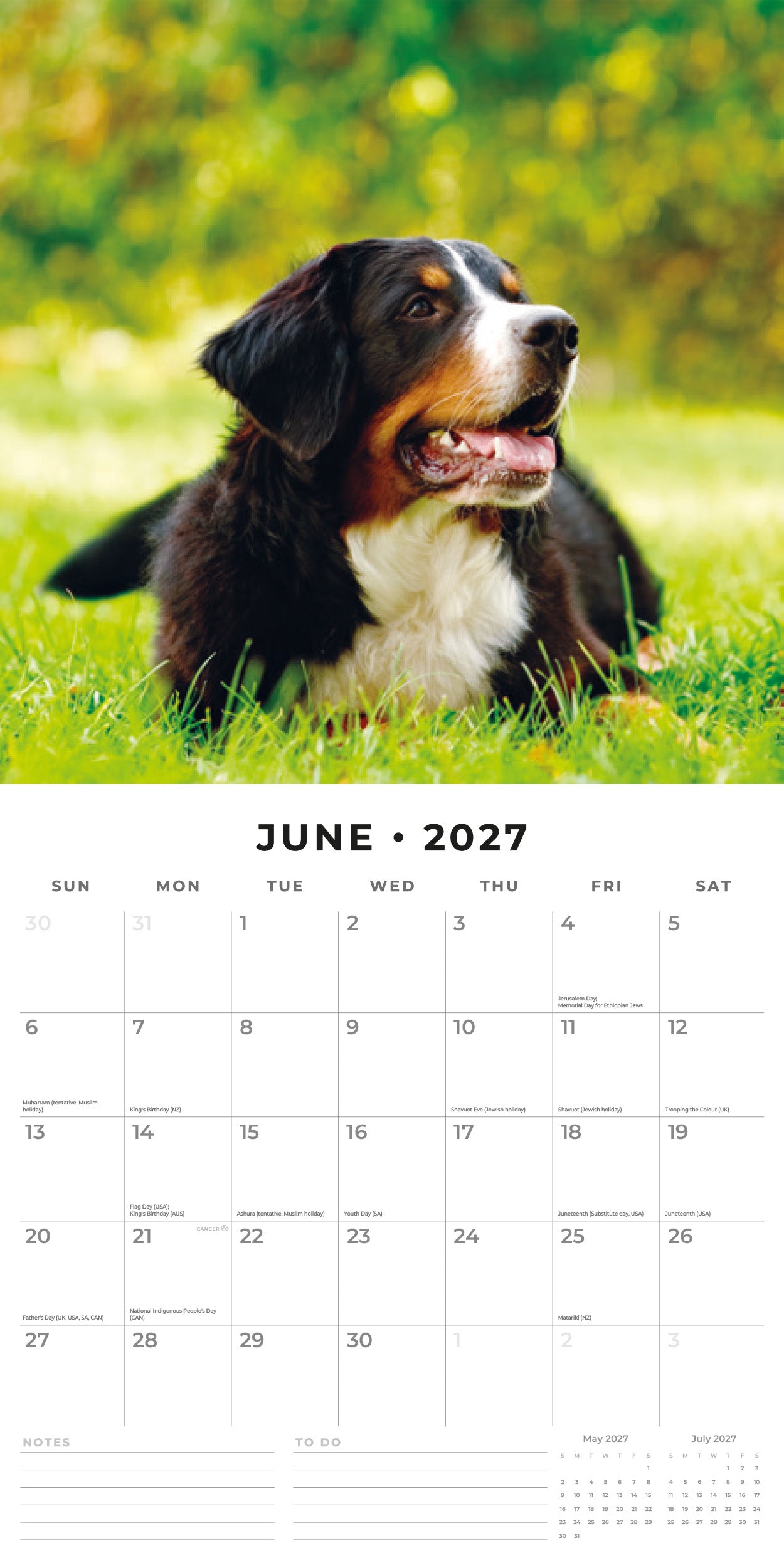 Red Robin 2027 Bernese Mountain Dogs Monthly Wall Calendar | 12" x 12"