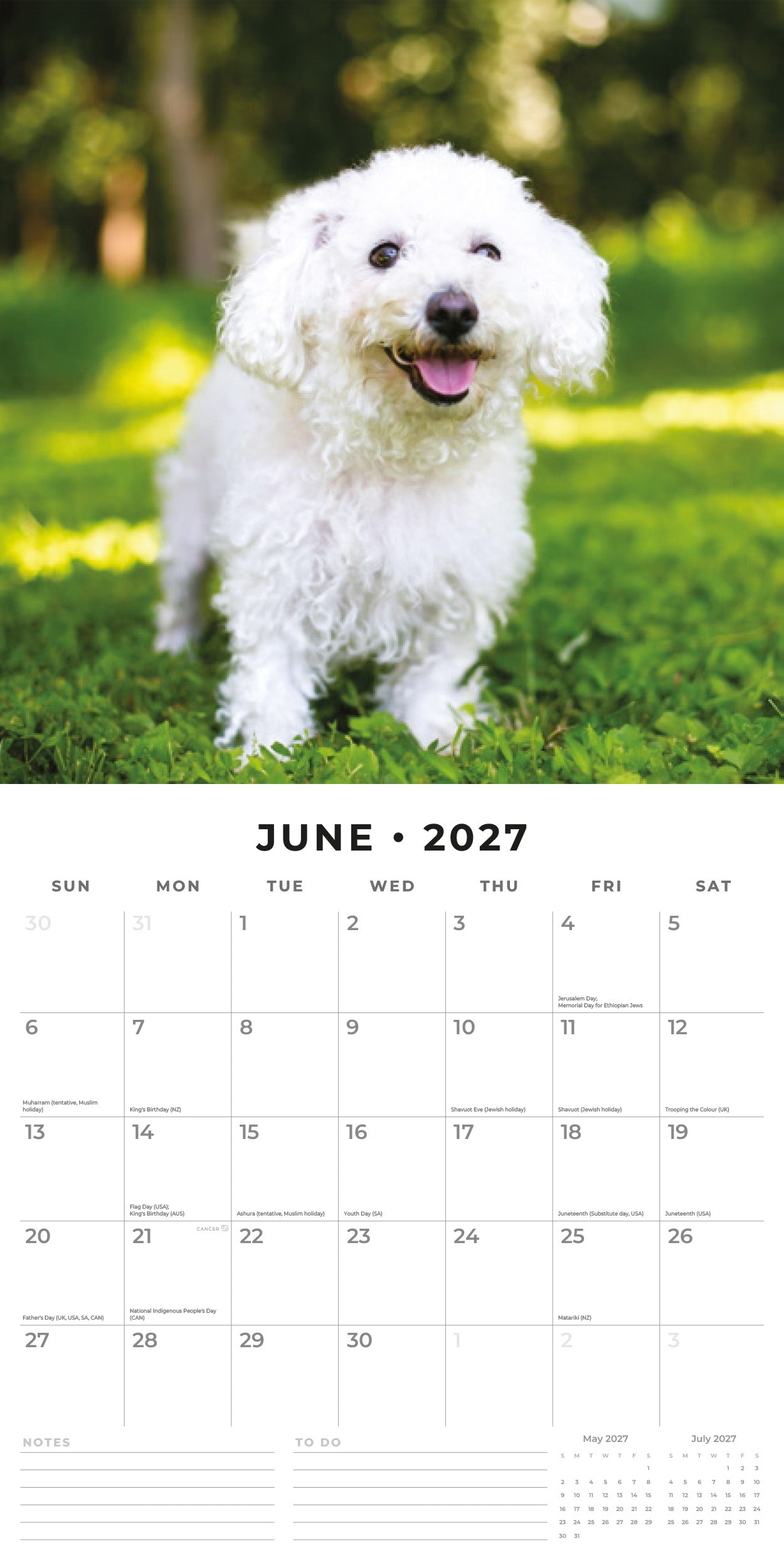 Red Robin 2027 Bichons Frises Monthly Wall Calendar | 12" x 12"