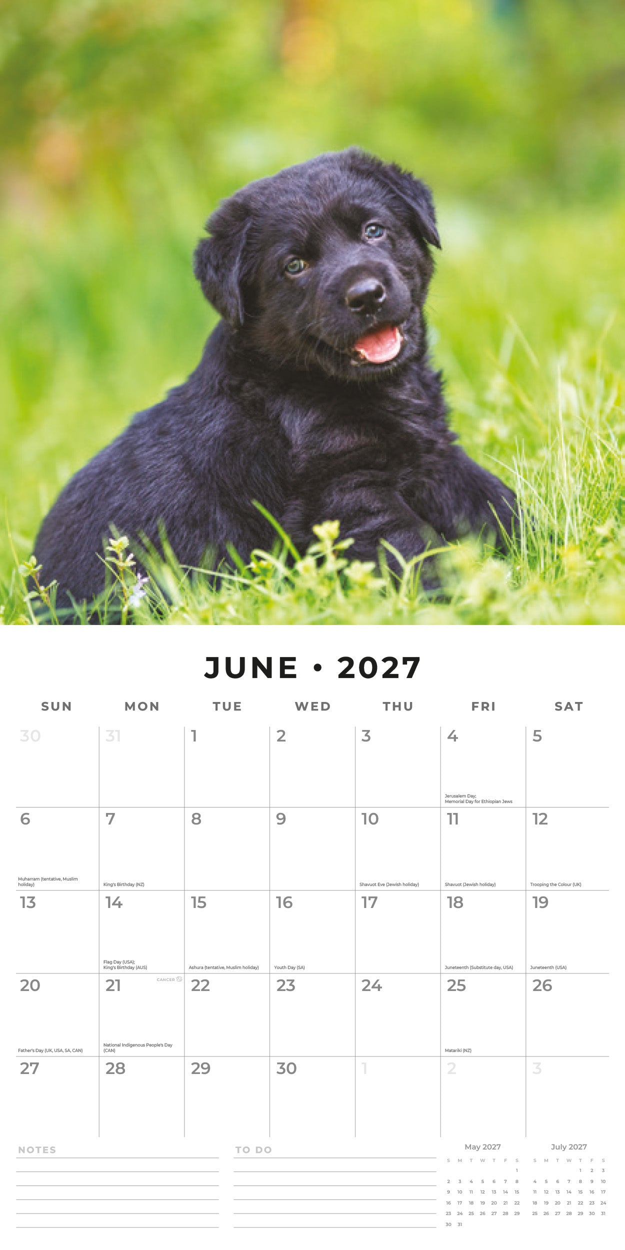 Red Robin 2027 Black Labrador Retriever Puppies Wall Calendar | 12" x 12"