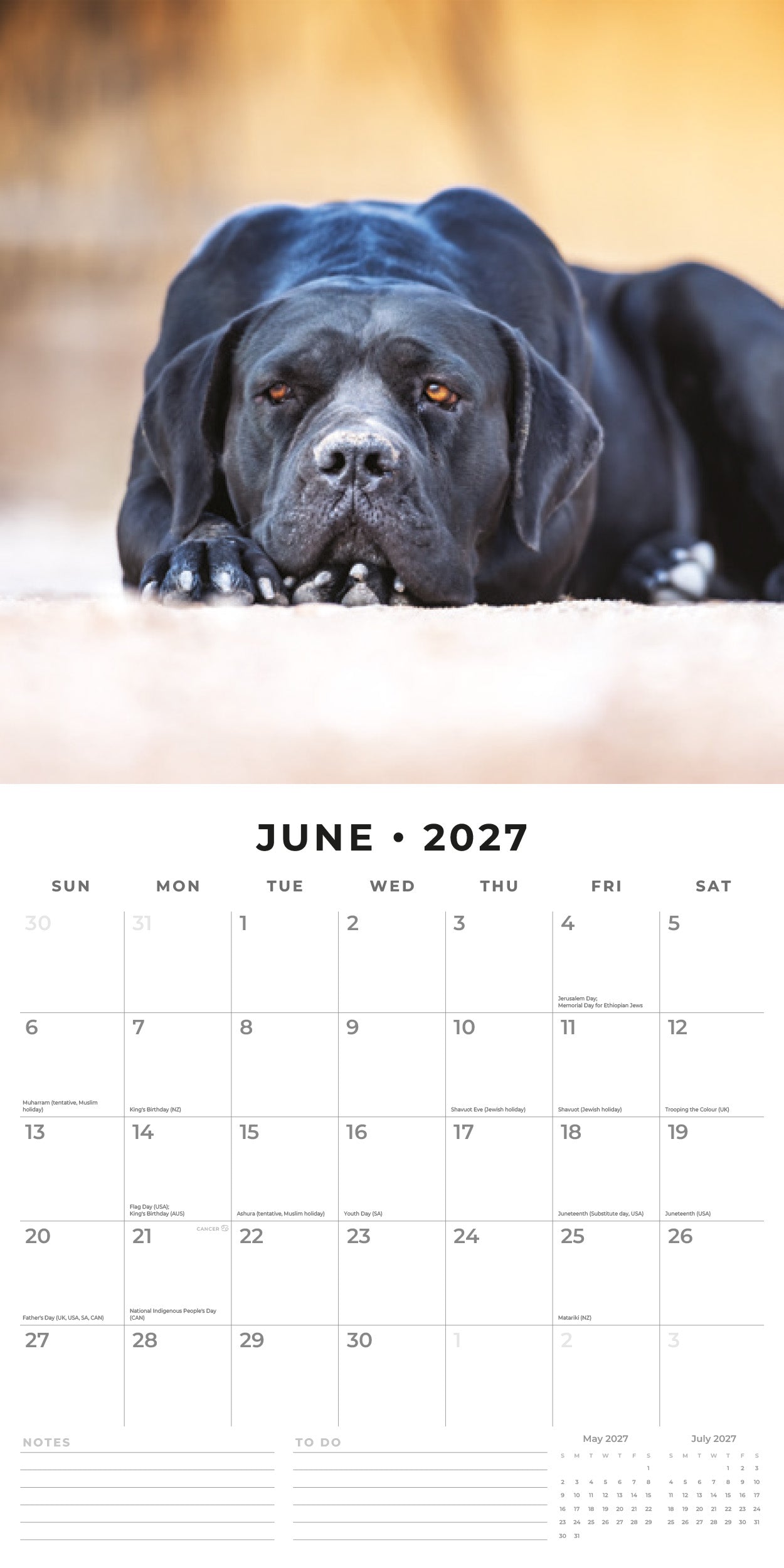 Red Robin 2027 Black Labradors Monthly Wall Calendar | 12" x 12"
