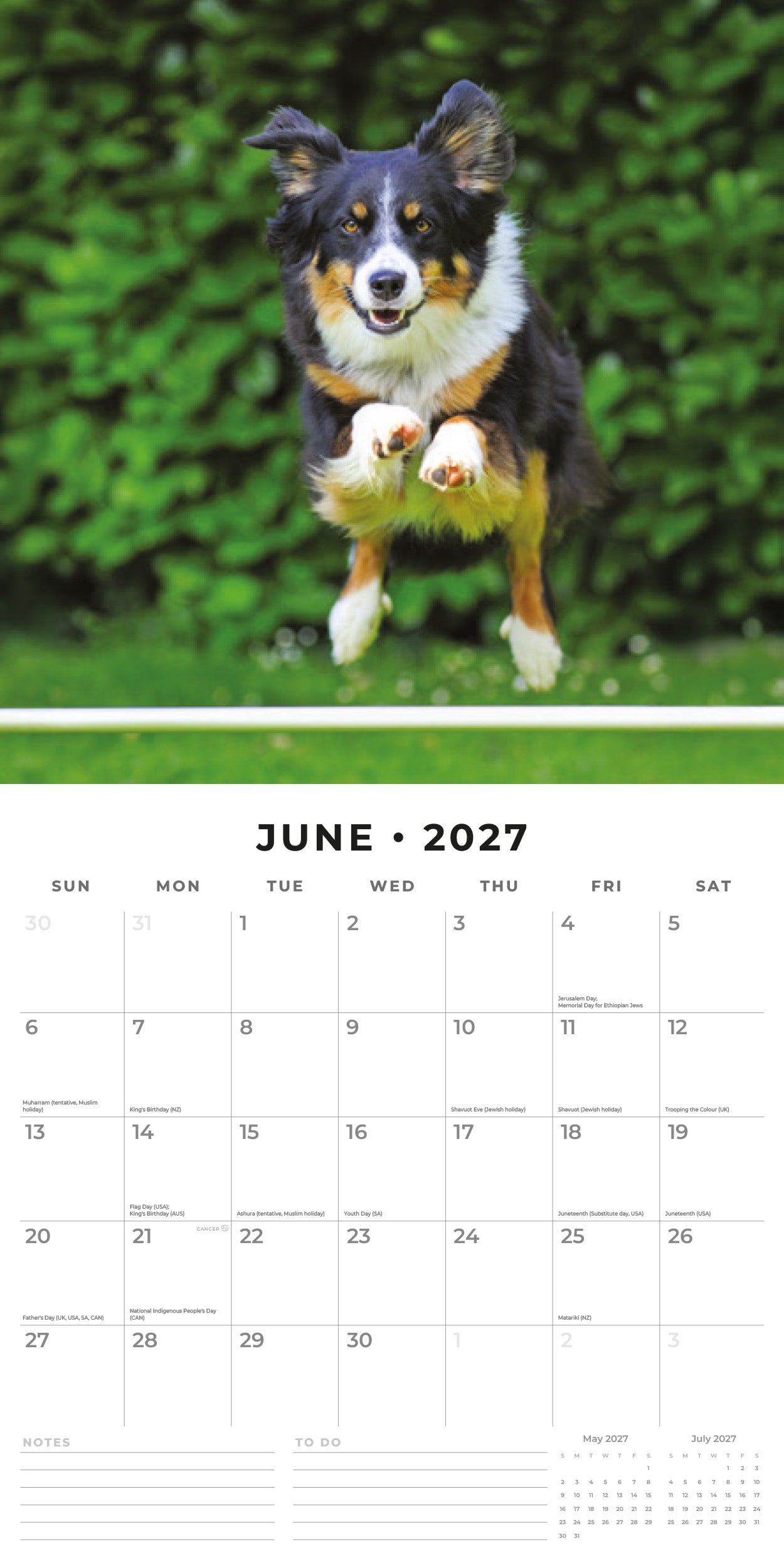 Red Robin 2027 Border Collies Monthly Wall Calendar | 12" x 12"