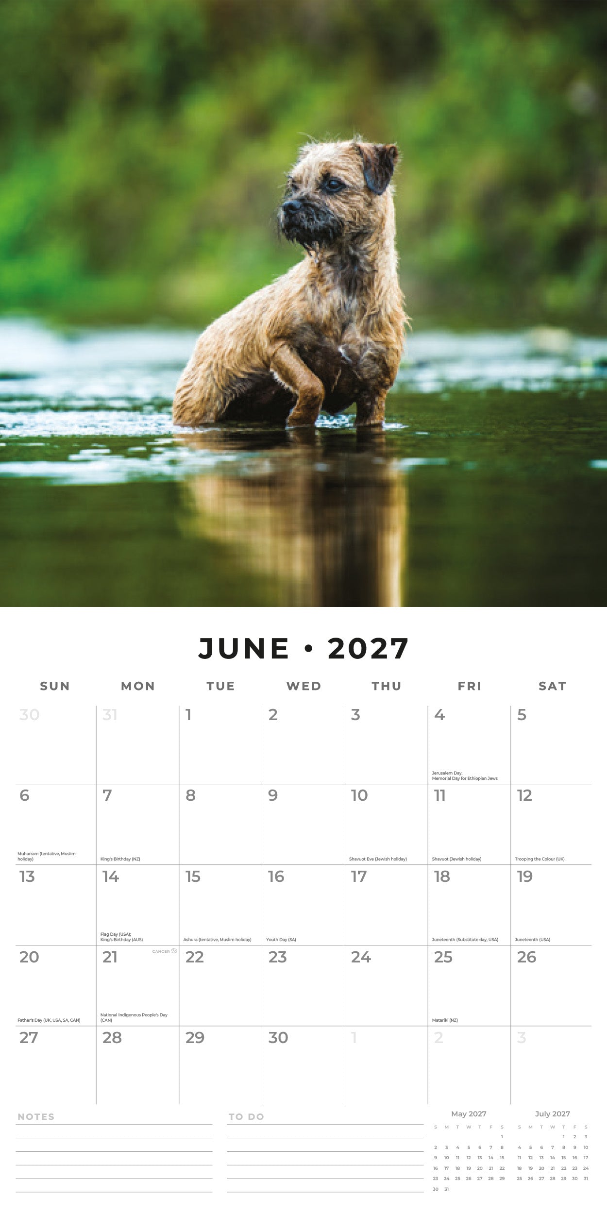 Red Robin 2027 Border Terriers Monthly Wall Calendar | 12" x 12"
