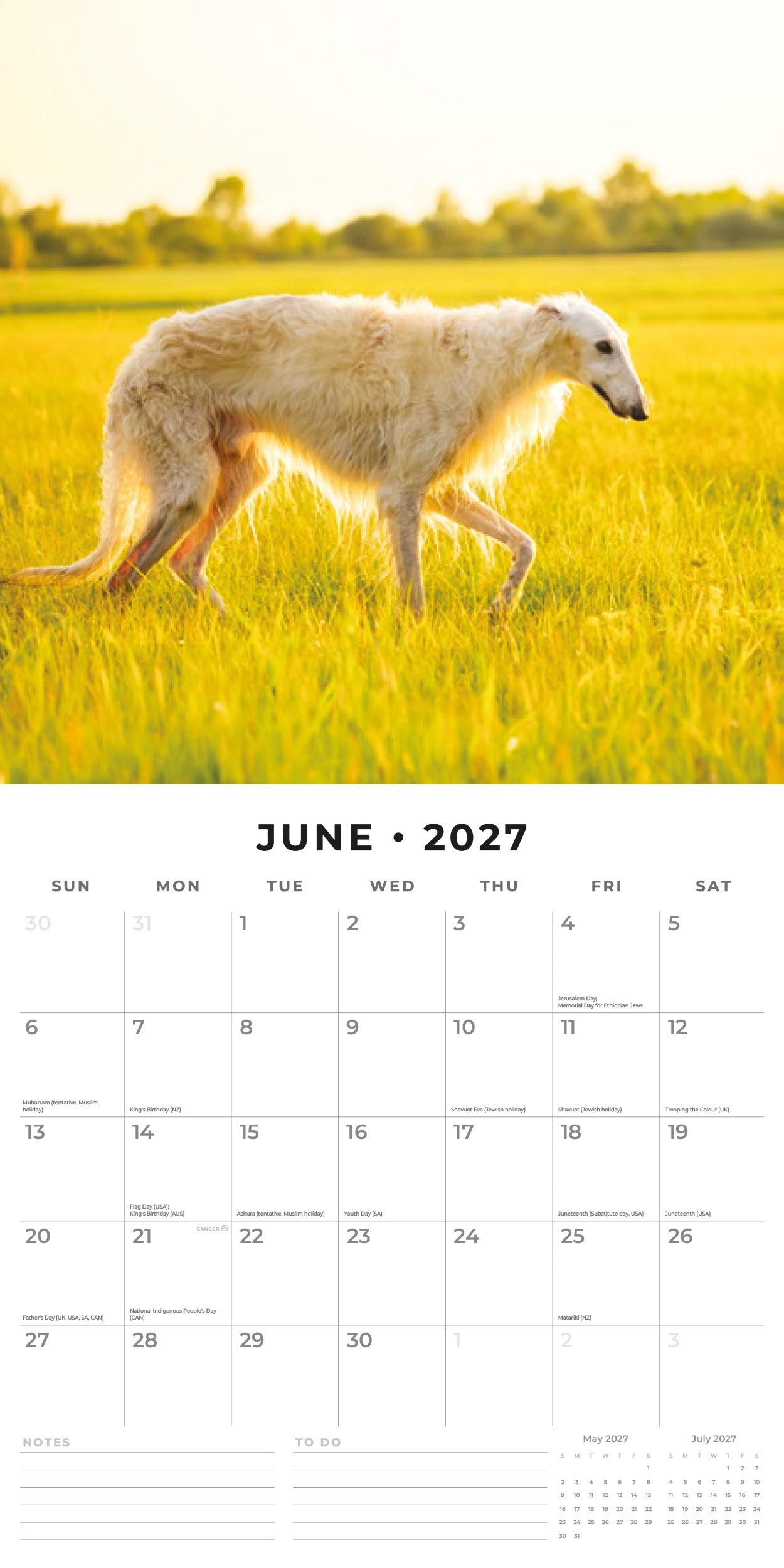 Red Robin 2027 Borzois Monthly Wall Calendar | 12" x 12"