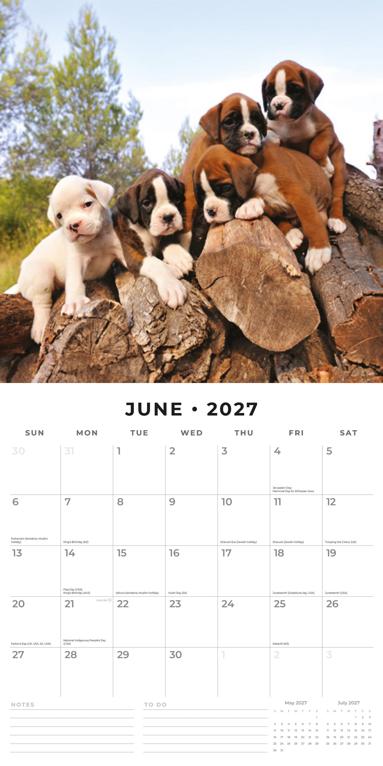 Red Robin 2027 Boxer Puppies Monthly Wall Calendar | 12" x 12"