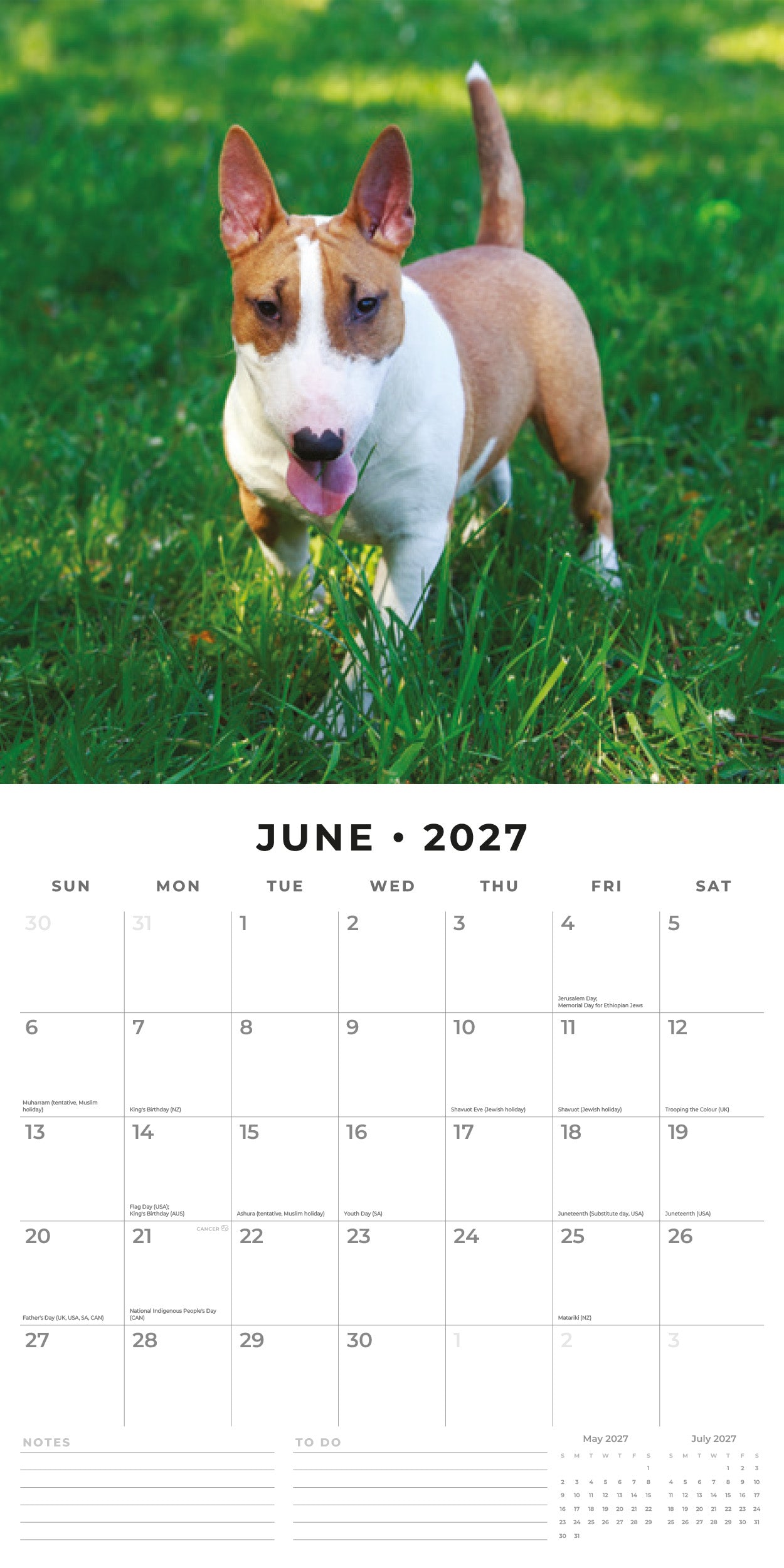 Red Robin 2027 Bull Terriers Monthly Wall Calendar | 12" x 12"