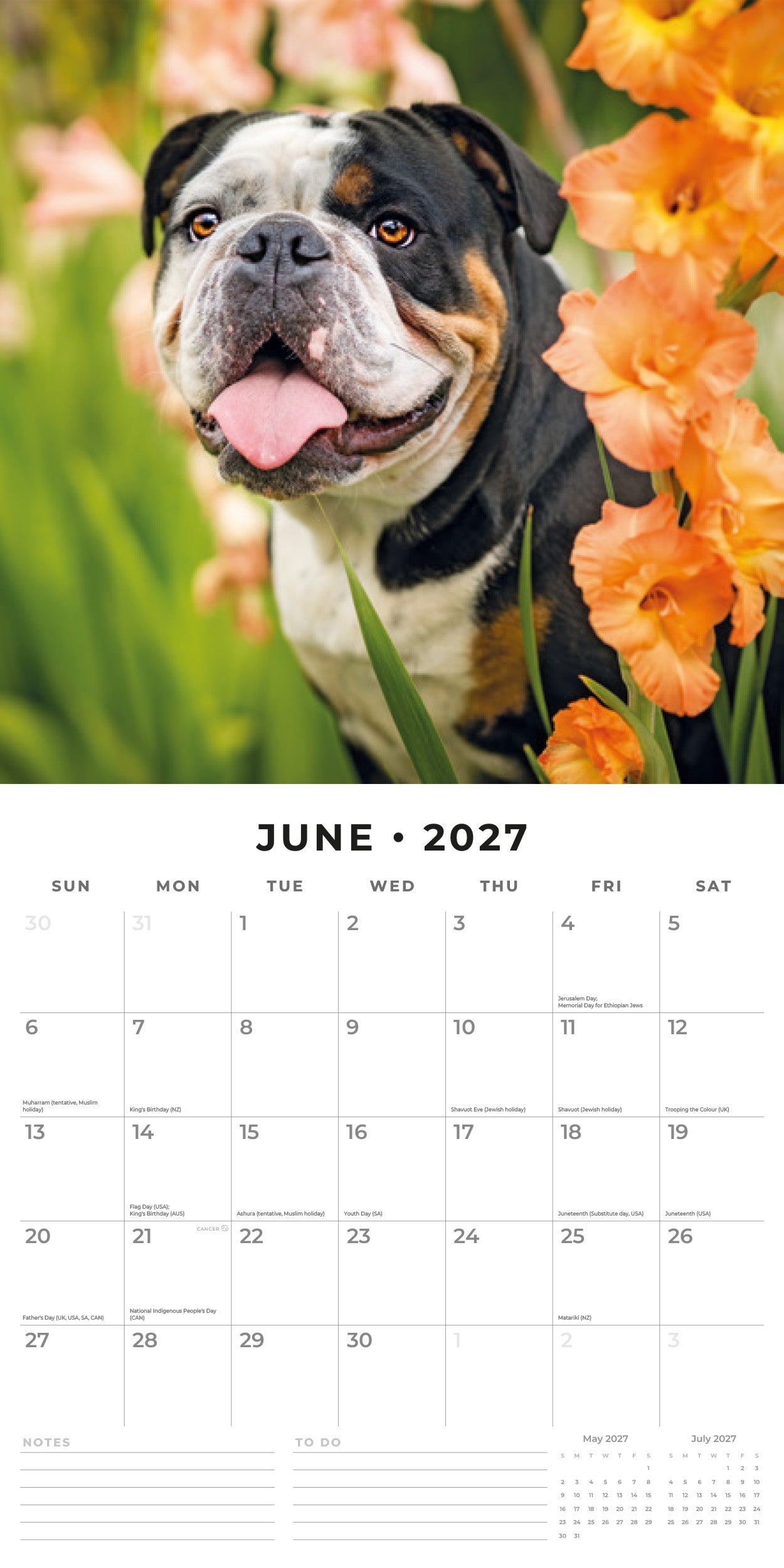 Red Robin 2027 Bulldogs Monthly Wall Calendar | 12" x 12"