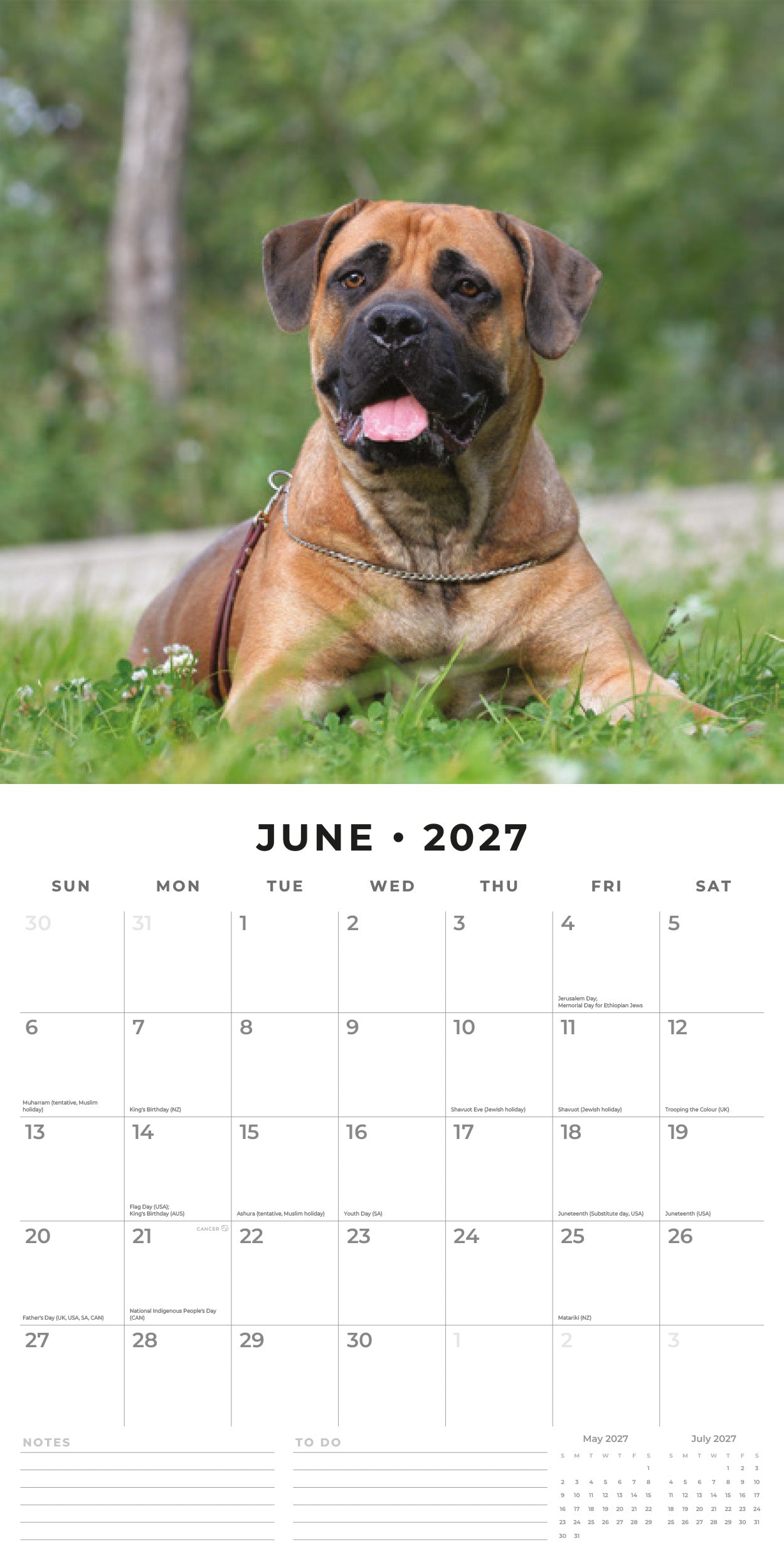 Red Robin 2027 Bullmastiffs Monthly Wall Calendar | 12" x 12"