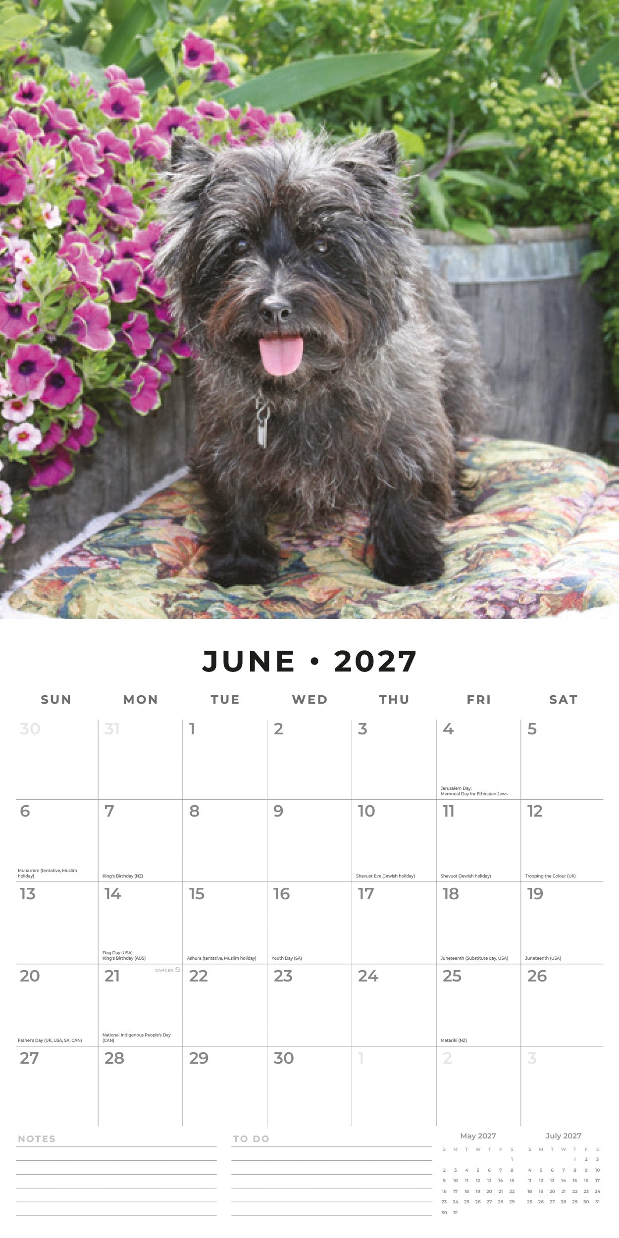 Red Robin 2027 Cairn Terriers Monthly Wall Calendar | 12" x 12"